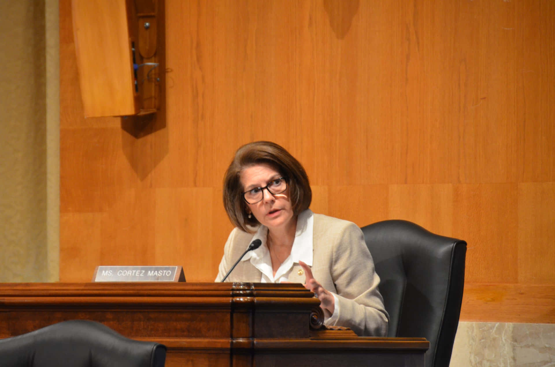 Caption: Catherine Cortez Masto In Formal Wear Background