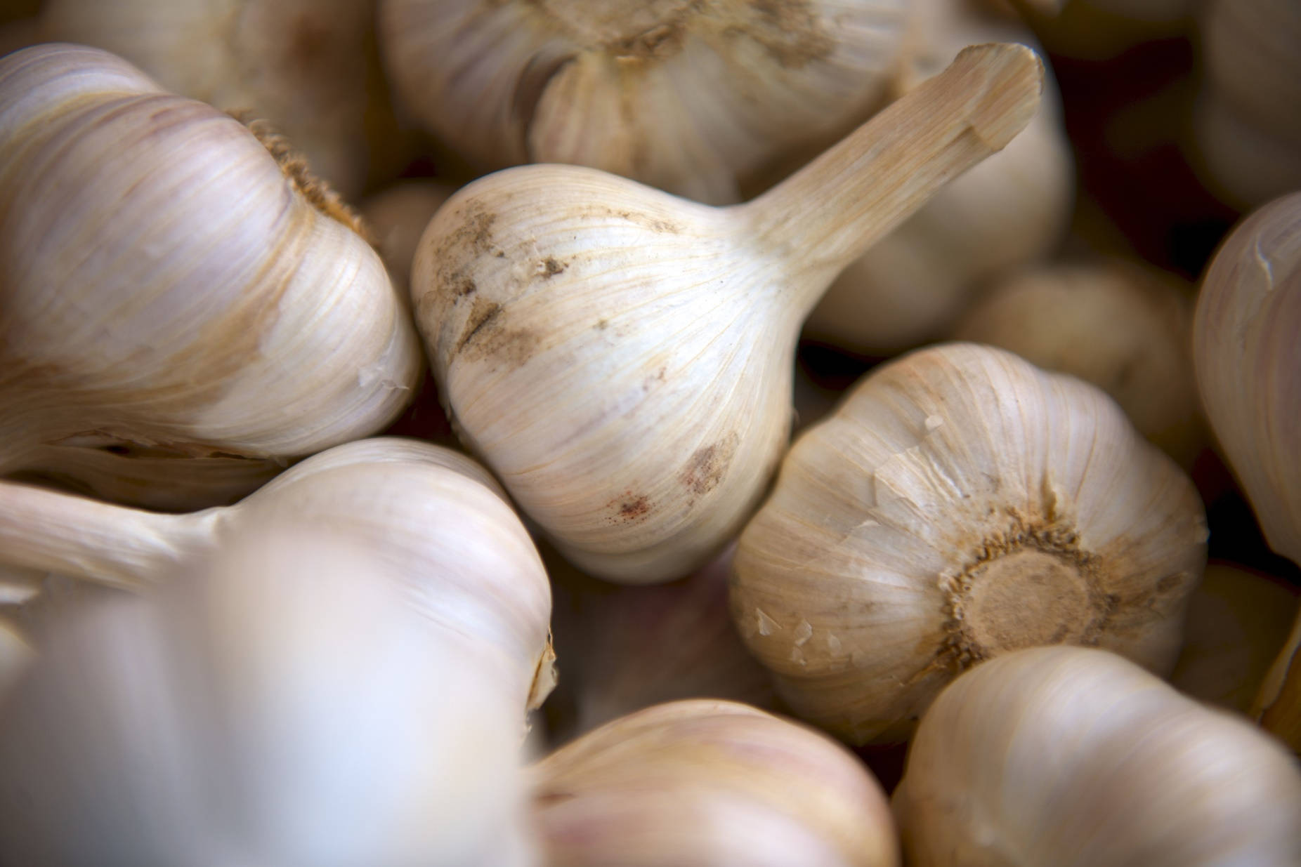 Caption: Close-up Of Fresh Garlic Bundle Background