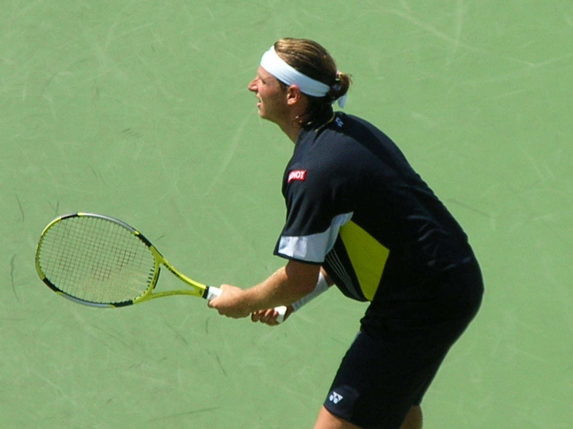 Caption: David Nalbandian Executing A Back Shot On The Tennis Court Background