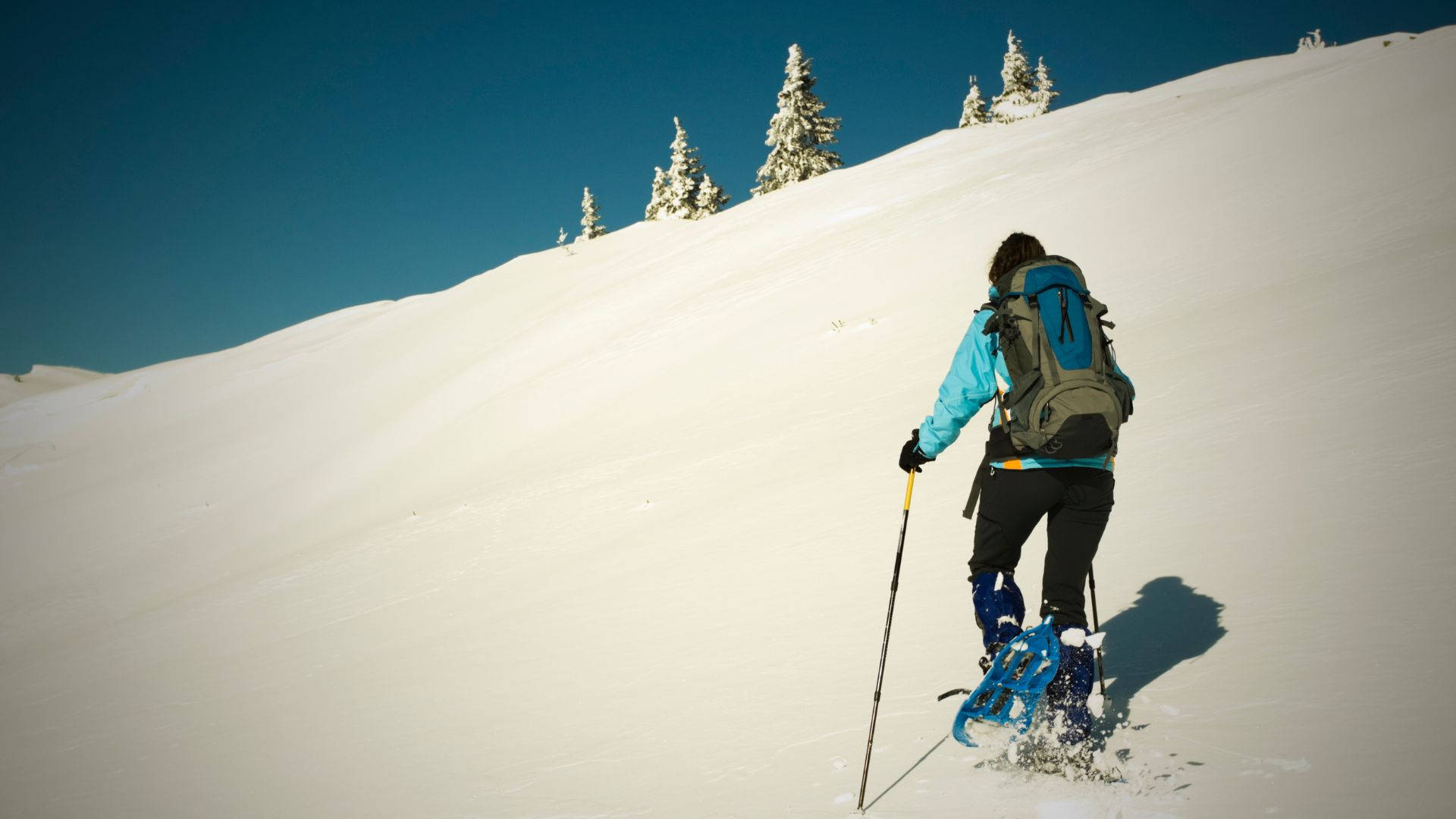 Caption: Determined Snowshoer Embarking On An Uphill Climb Background