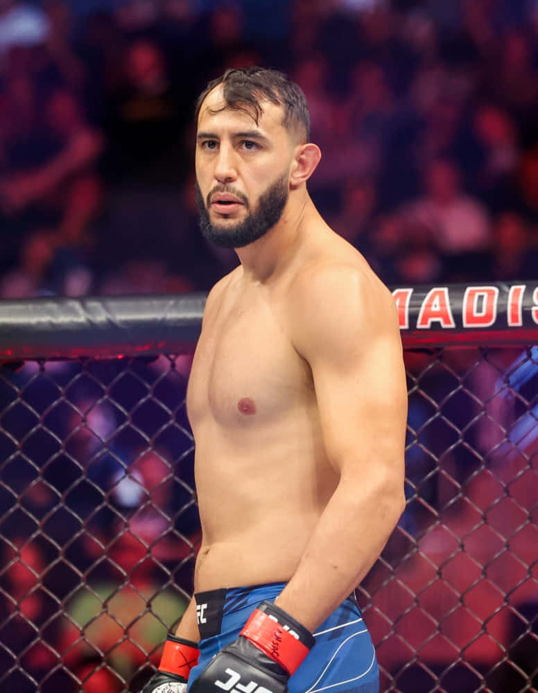 Caption: Dominick Reyes In Competitive Fight Stance Background