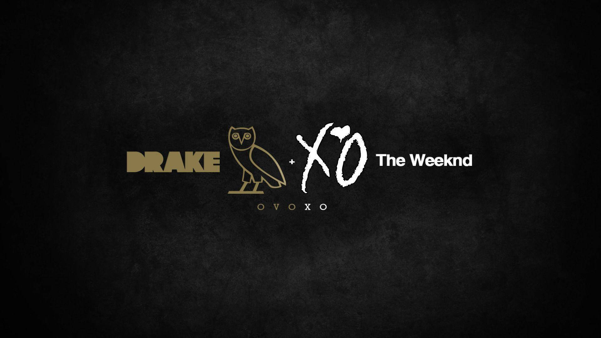 Caption: Drake Ovo X The Weekend Collaborative Performance Background