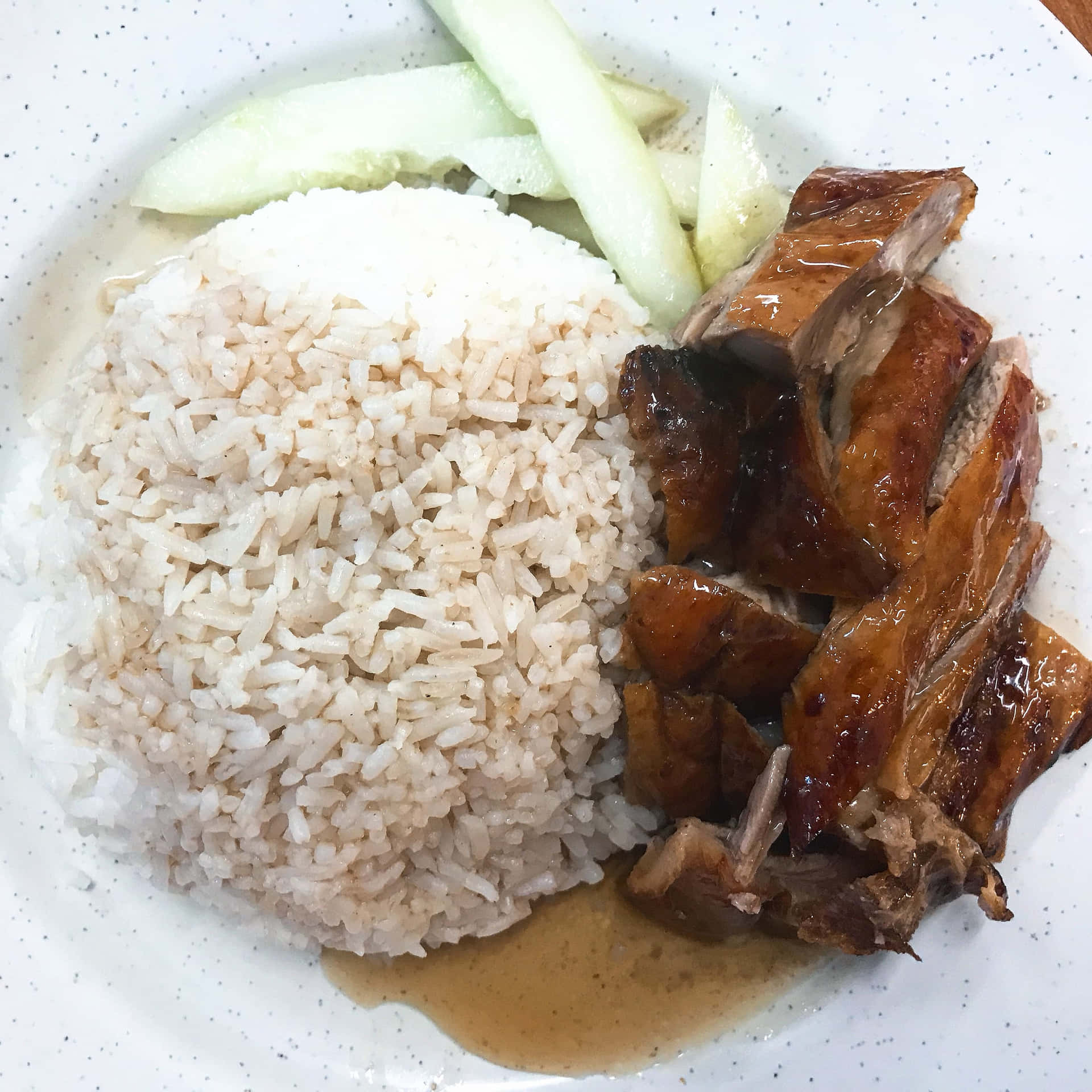 Caption: Duck Rice From Yang Seng Restaurant Background