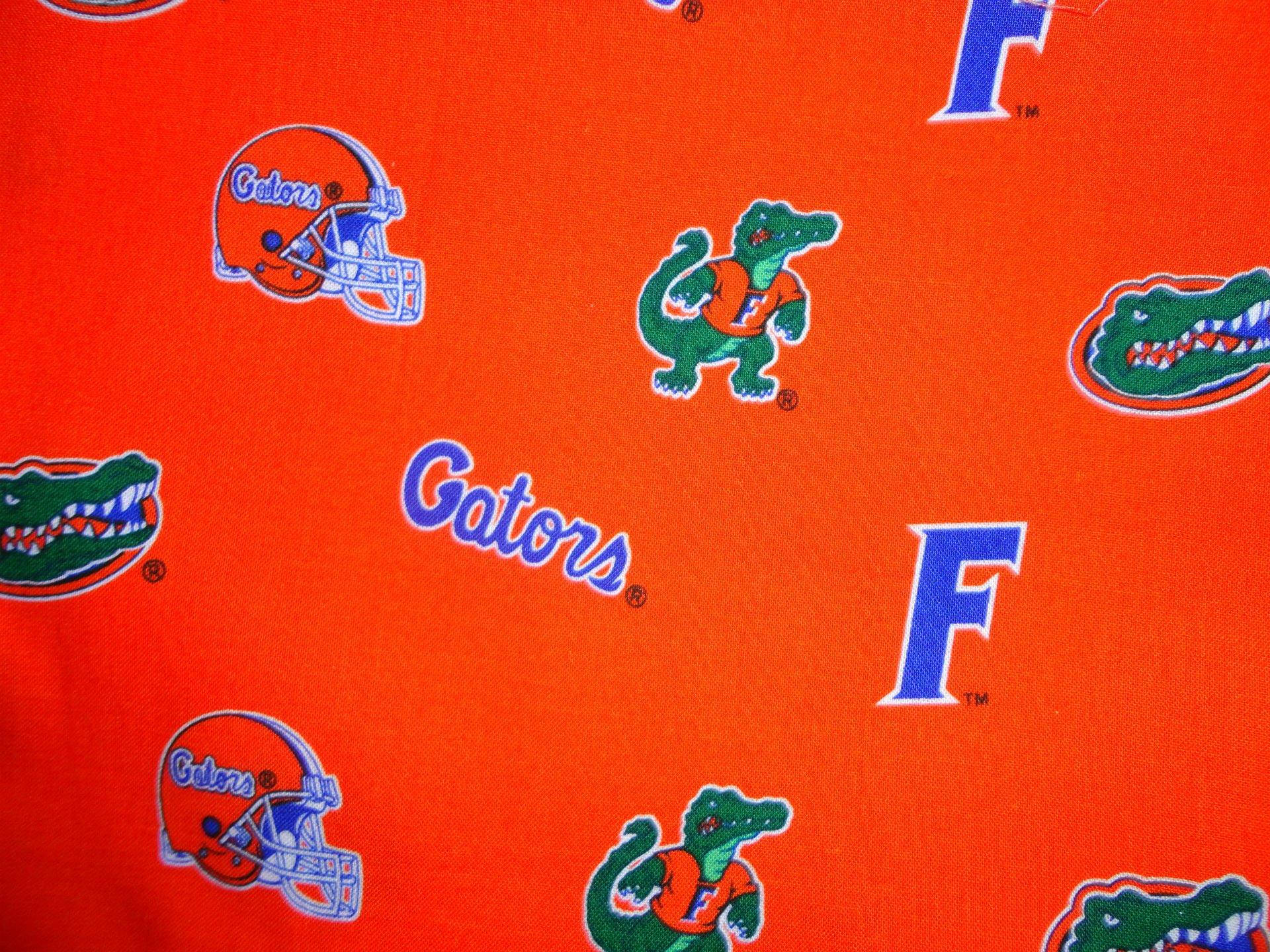 Caption: Dynamic Florida Gators Logo Design Background