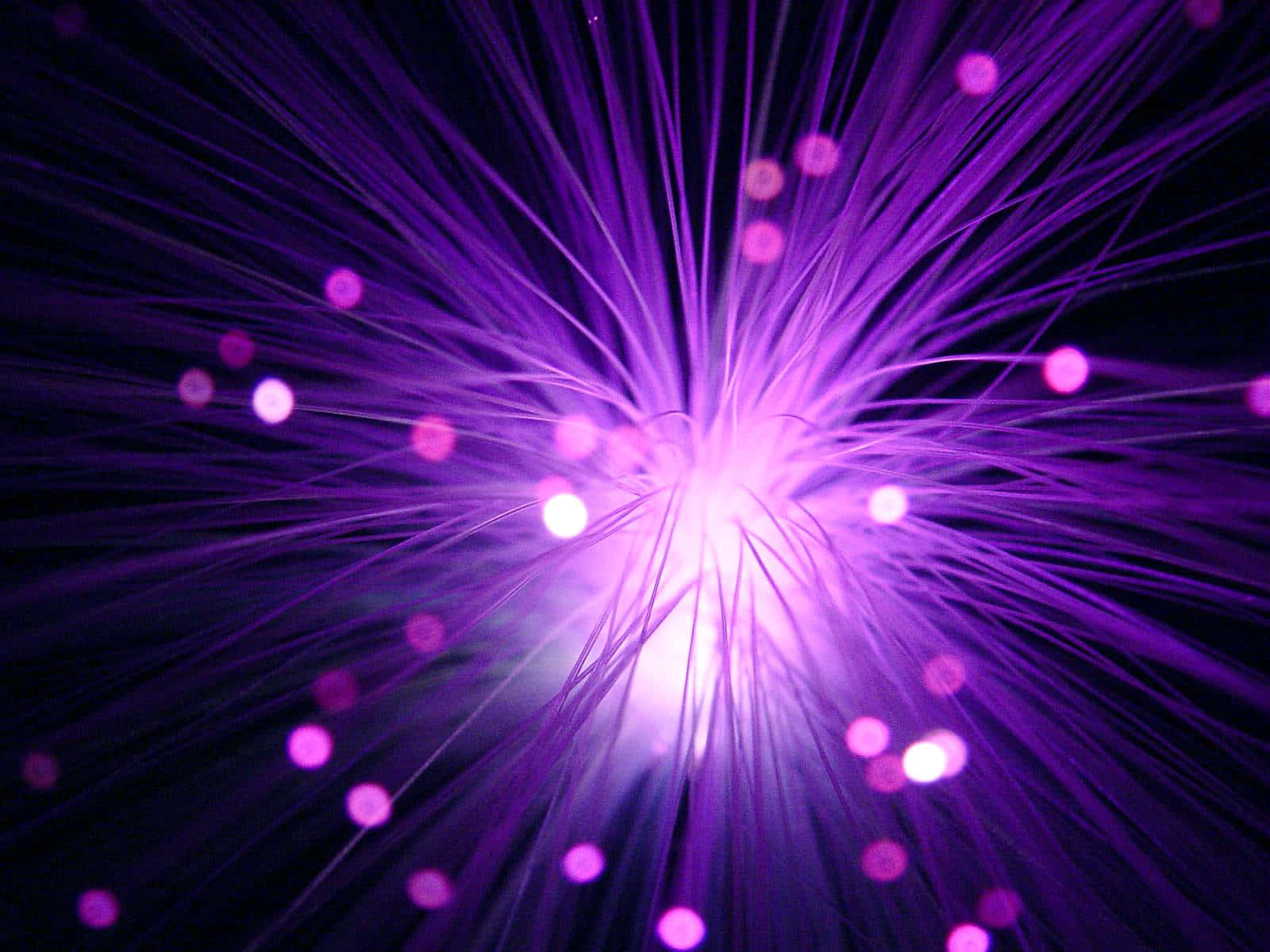 Caption: Electric Purple Splash Background