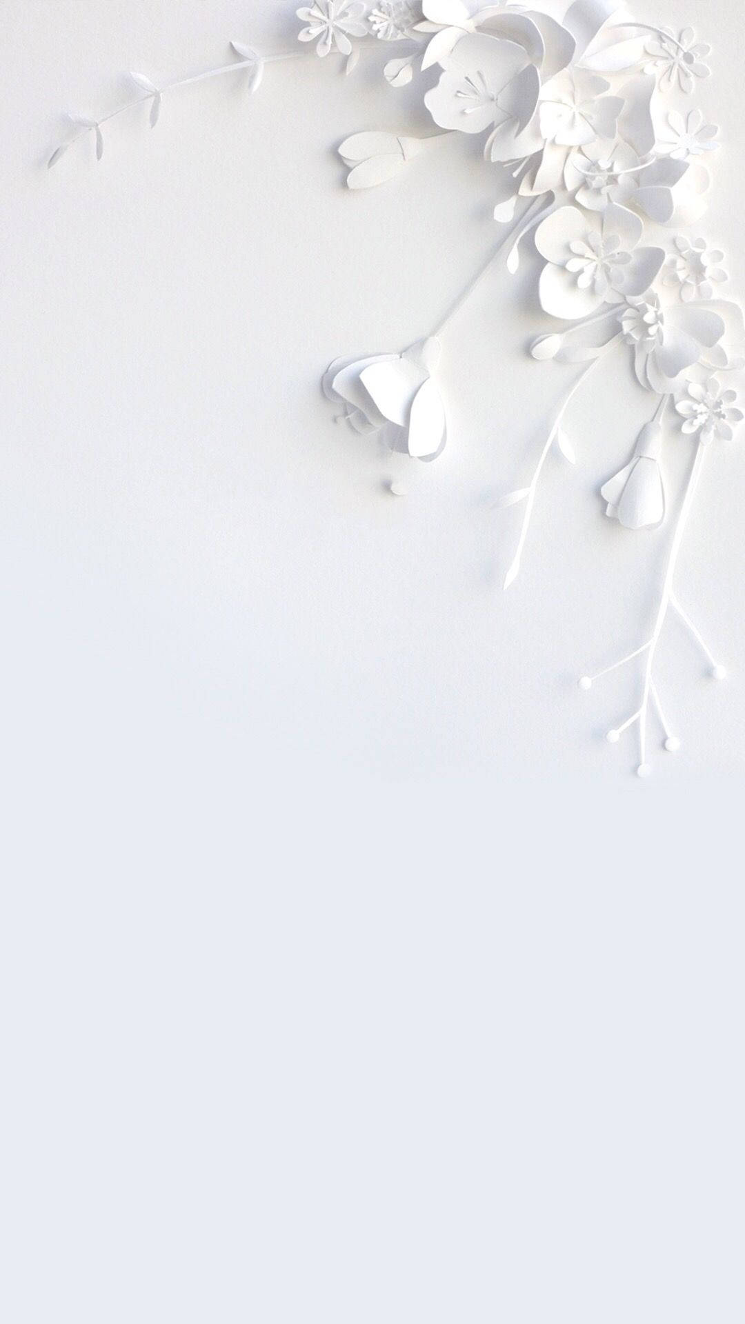 Caption: Elegance In Simplicity: White Flower Design For Iphone Background