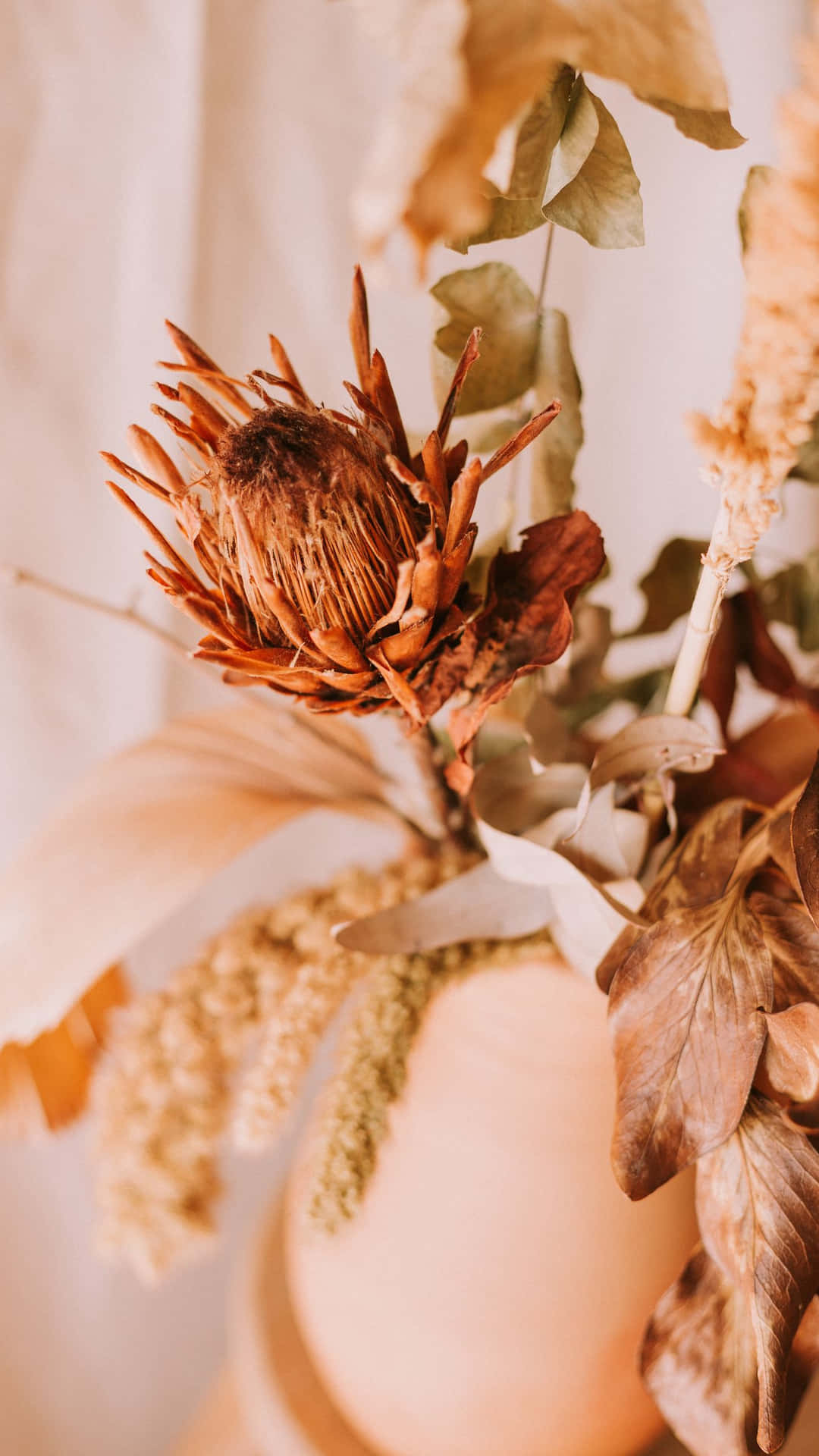 Caption: Elegant Arrangement Of Colorful Dried Flowers Background