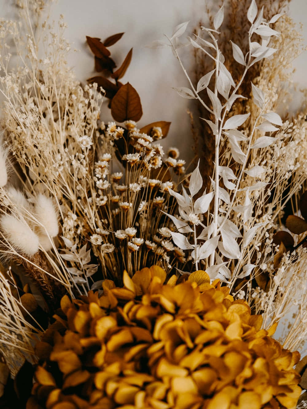 Caption: Elegant Arrangement Of Colorful Dried Flowers