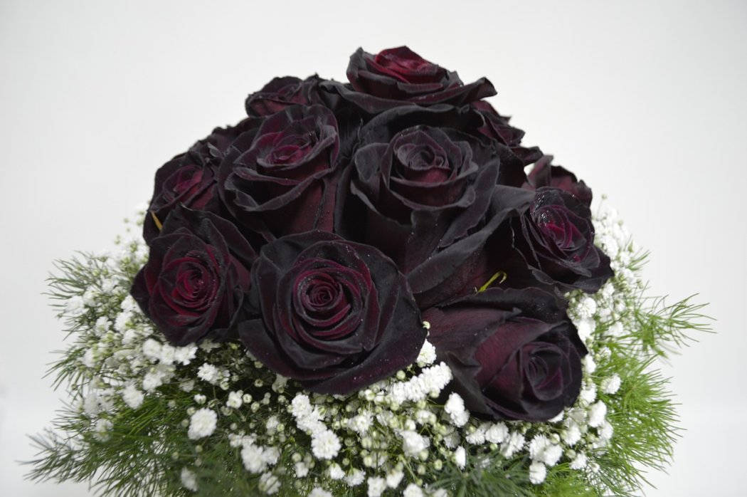 Caption: Elegant Bouquet Of Black Roses Background