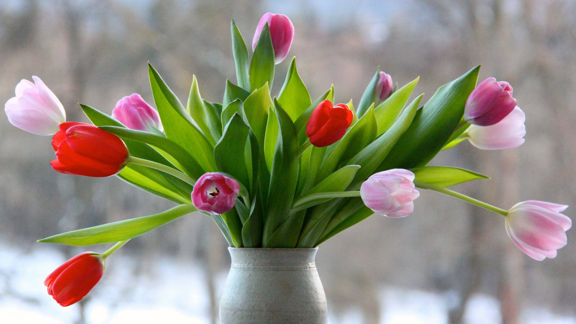 Caption: Elegant Drooping Tulips In A Flower Vase