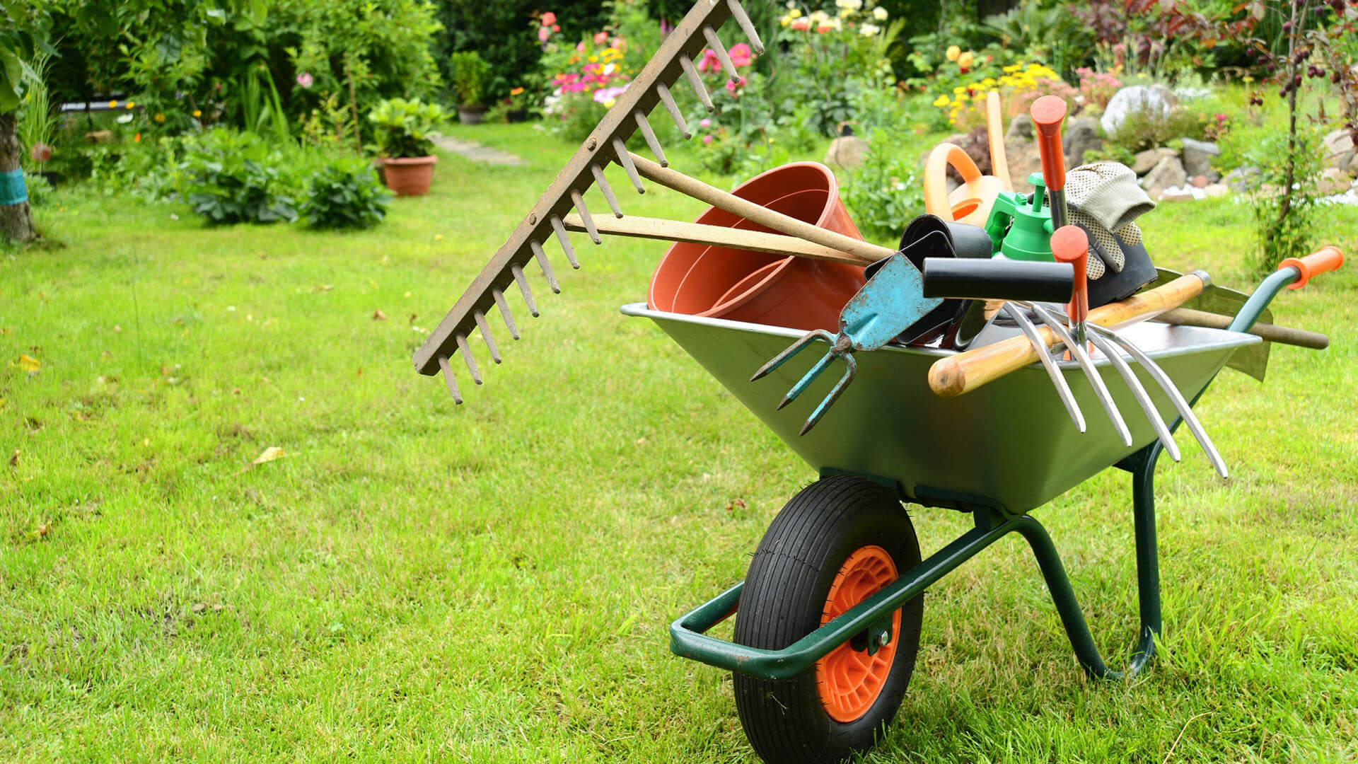 Caption: Enchanting Gardening Tools In Lush Green Backyard