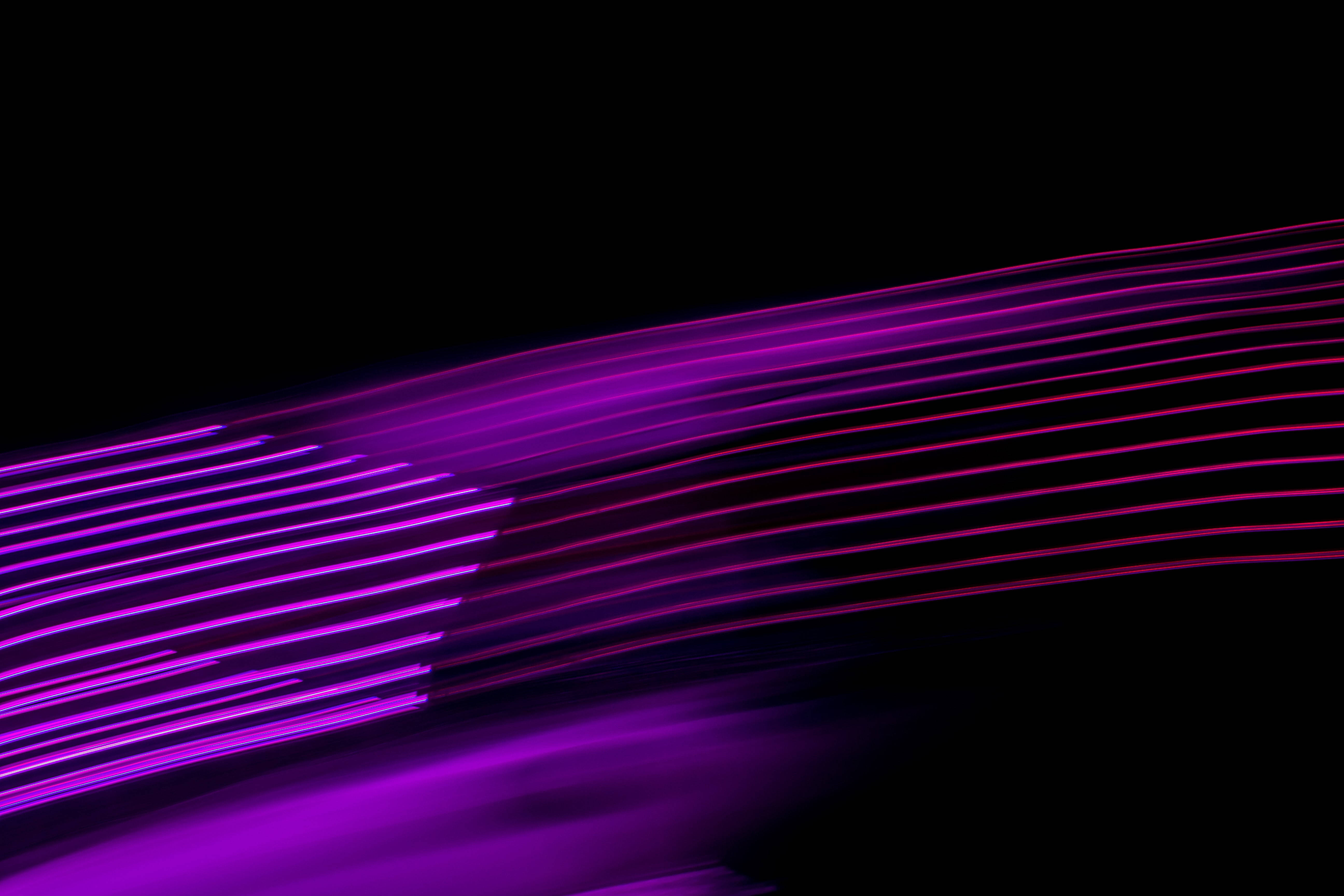 Caption: Enigmatic Black And Purple Light Streaks Background