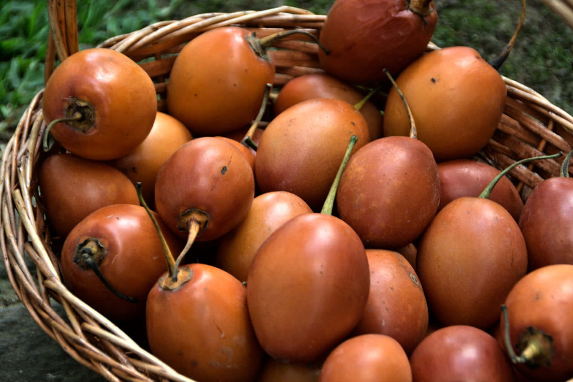 Caption: Exotic Tamarillo Fruits In A Rustic Basket Background