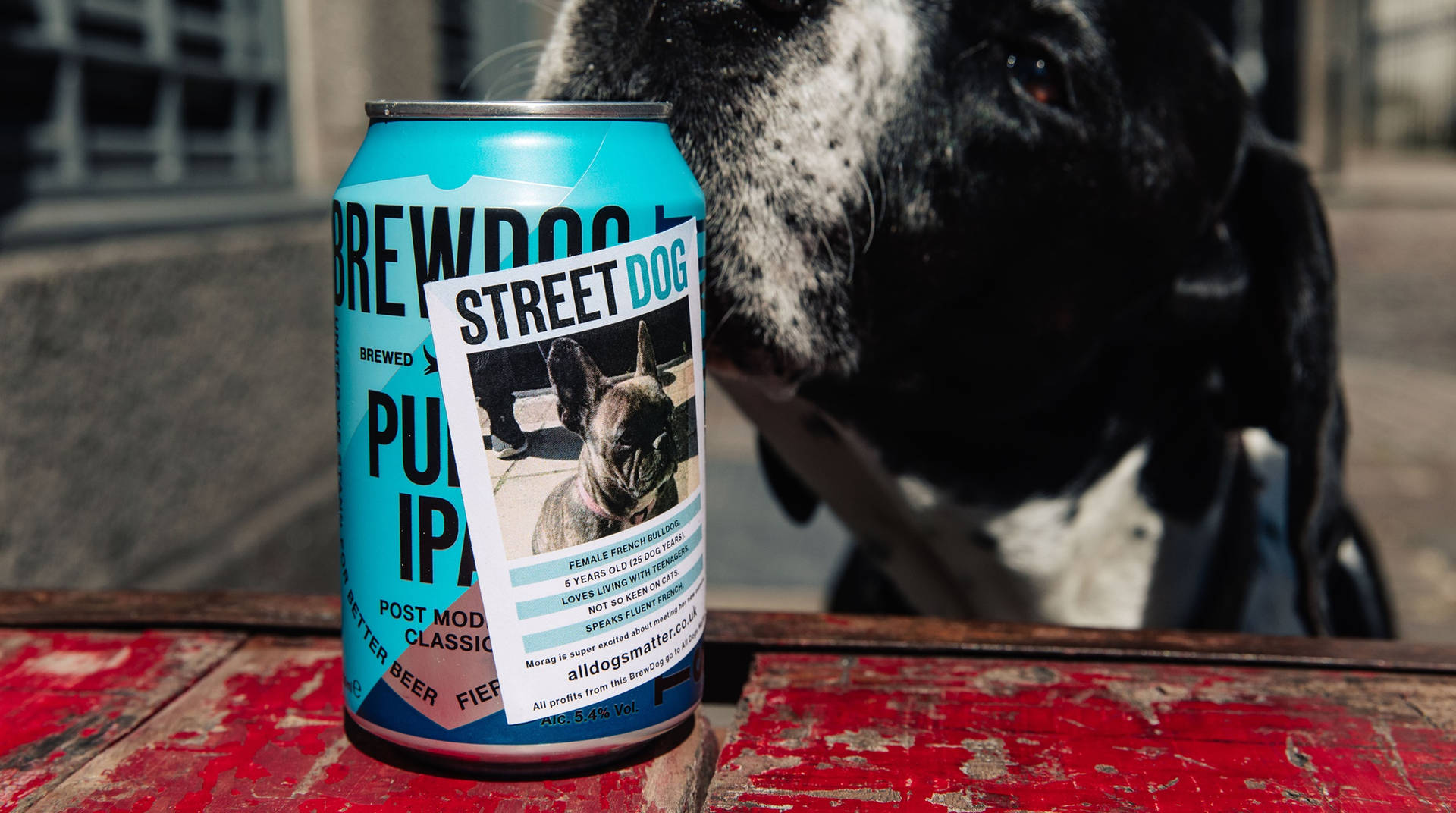 Caption: Eye-catching Brewdog Street Dog Sticker Background