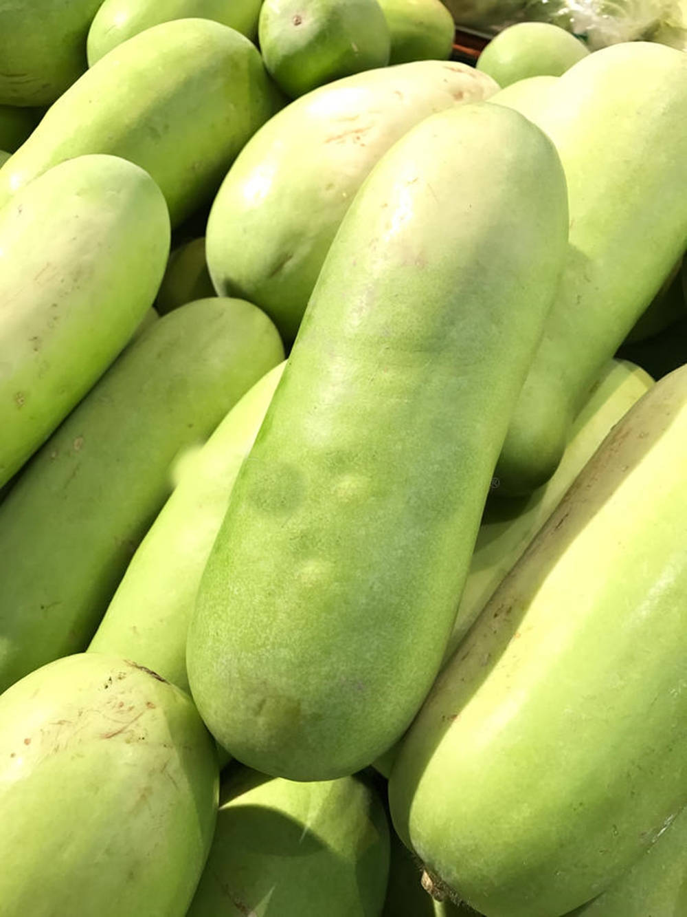 Caption: Fresh Ash Gourd - Pinnacle Of Healthiness Background