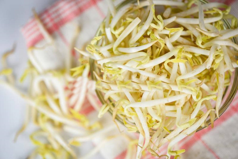 Caption: Fresh Green Mung Bean Sprouts In A Glass Bowl Background