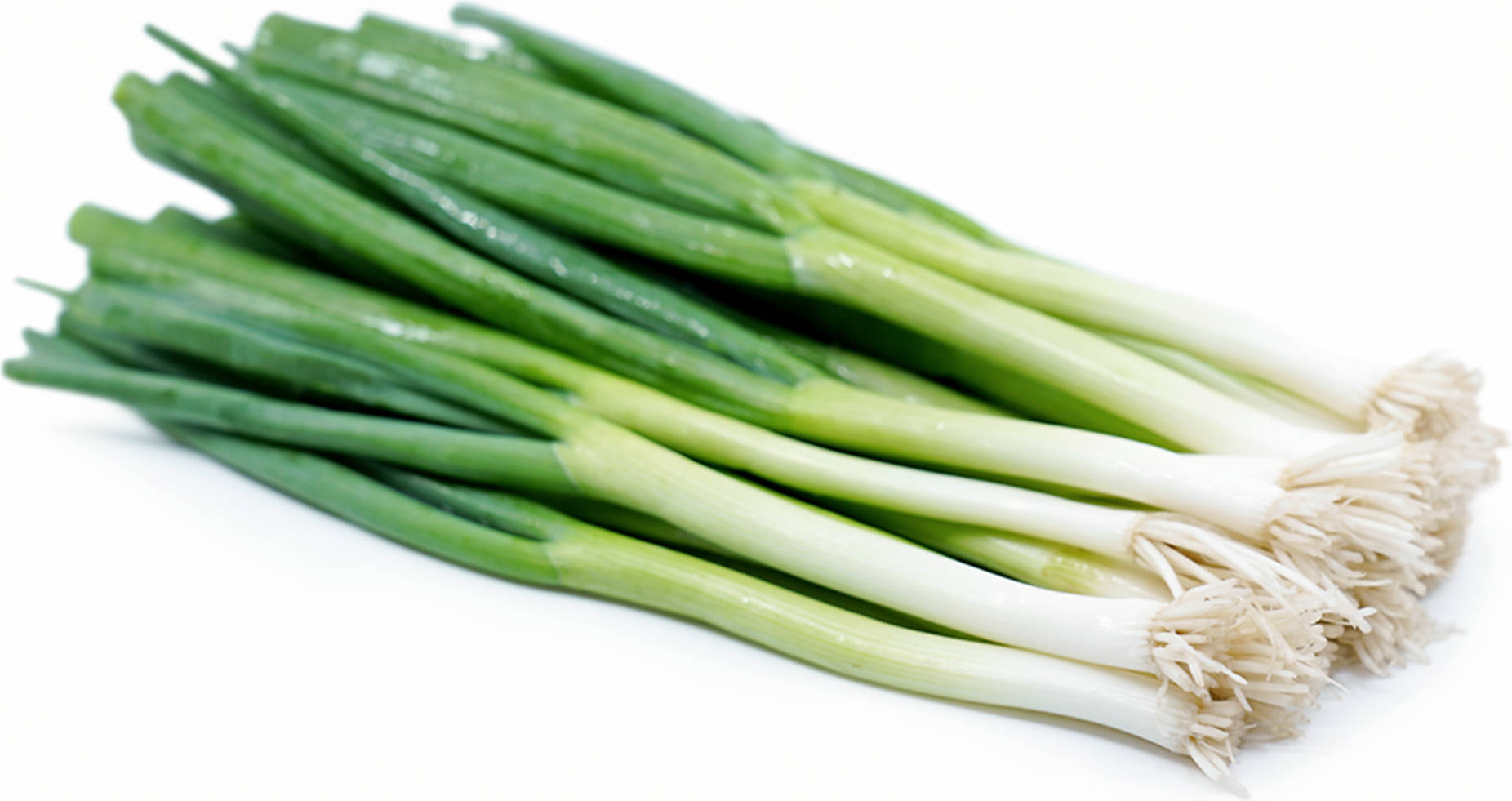 Caption: Fresh Green Onion In Vibrant Natural Setting Background