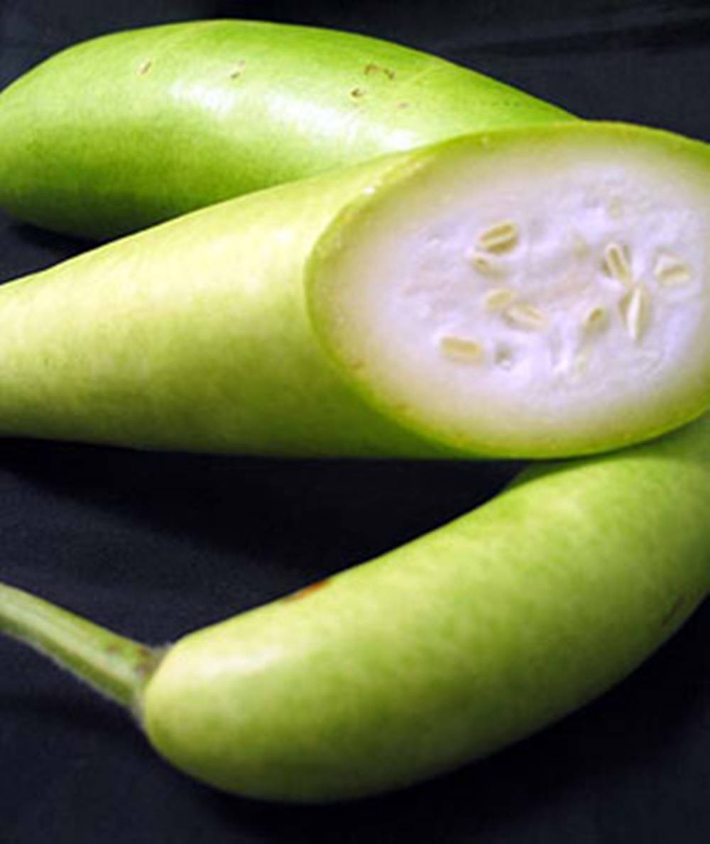 Caption: Fresh Harvest Of Ash Gourd Background