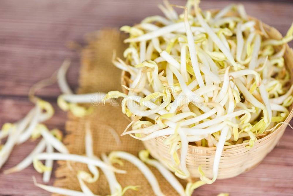 Caption: Fresh Mung Bean Sprouts In A Rattan Basket Background