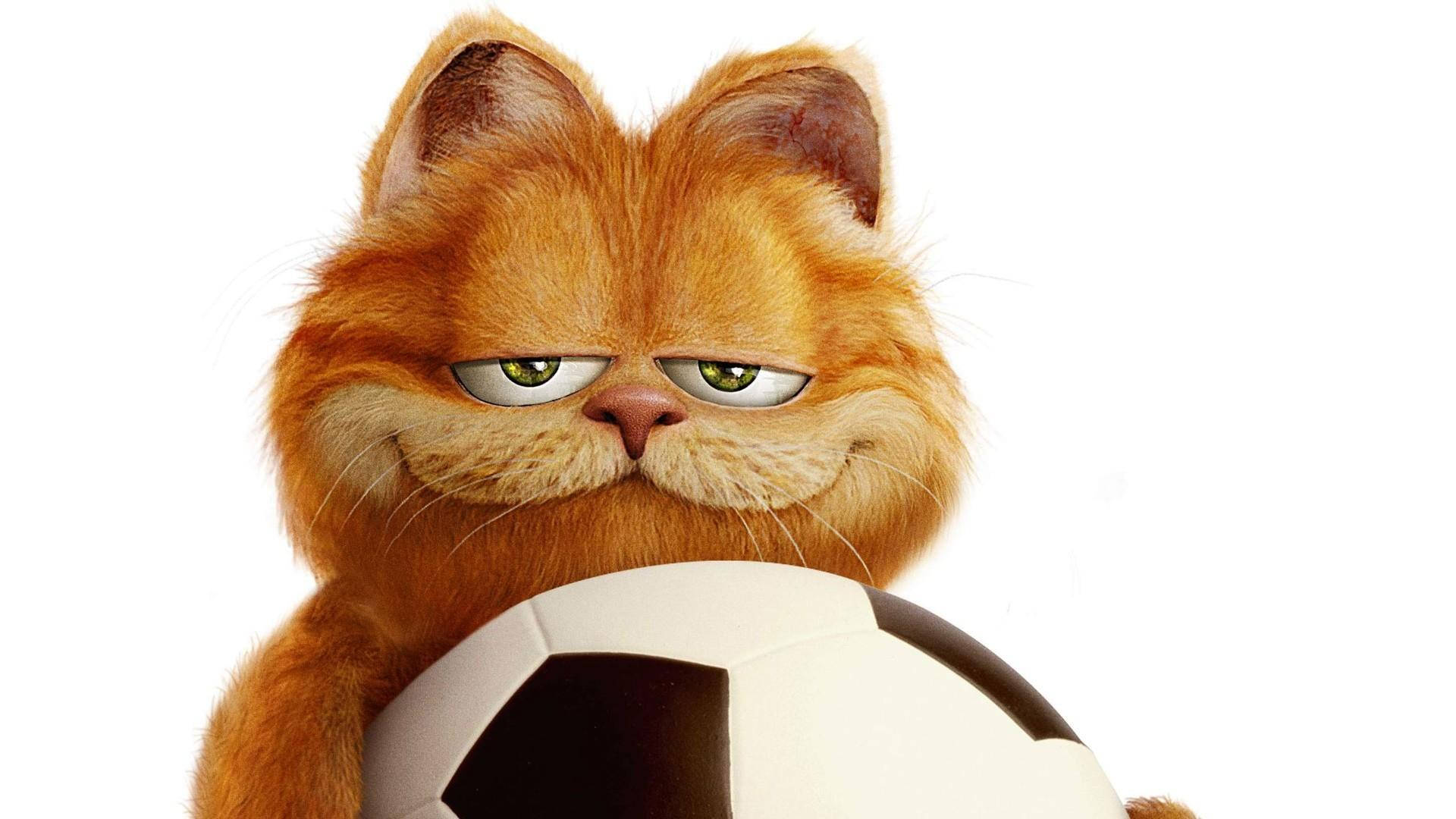 Caption: Garfield The Cat Enjoys Playing Football Background