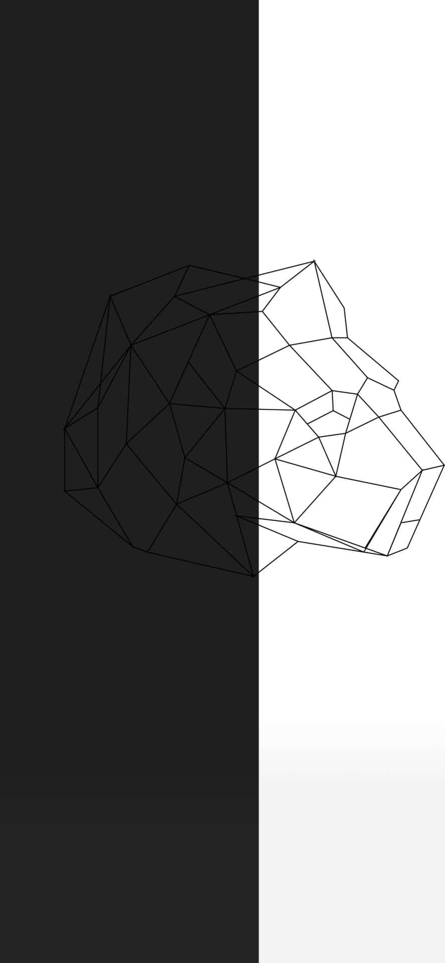 Caption: Half Black Half White Abstract Design Background