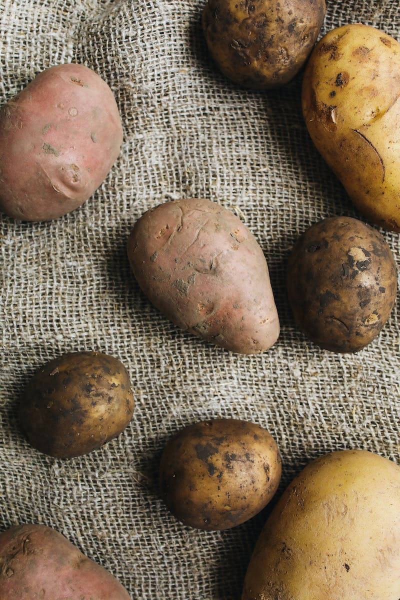 Caption: Hearty And Nutritious Sweet Potatoes Background