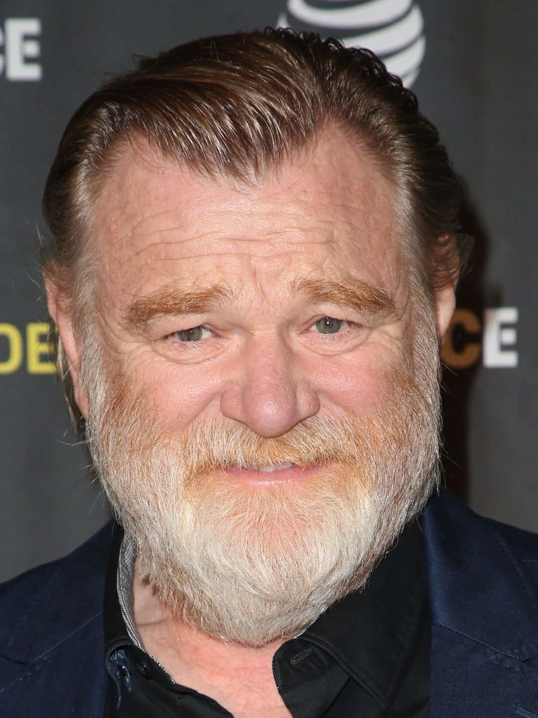 Caption: Hollywood Actor Brendan Gleeson Posing At An Event. Background