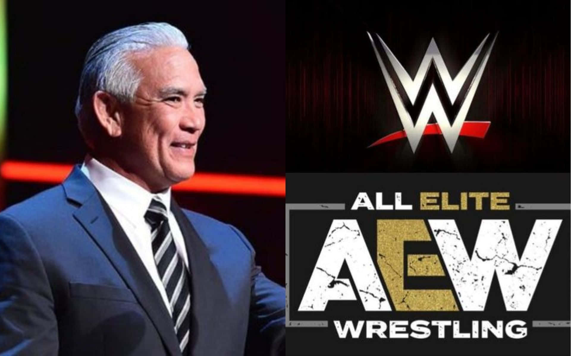 Caption: Iconic Pro Wrestling Legend Ricky 'the Dragon' Steamboat In Action Background