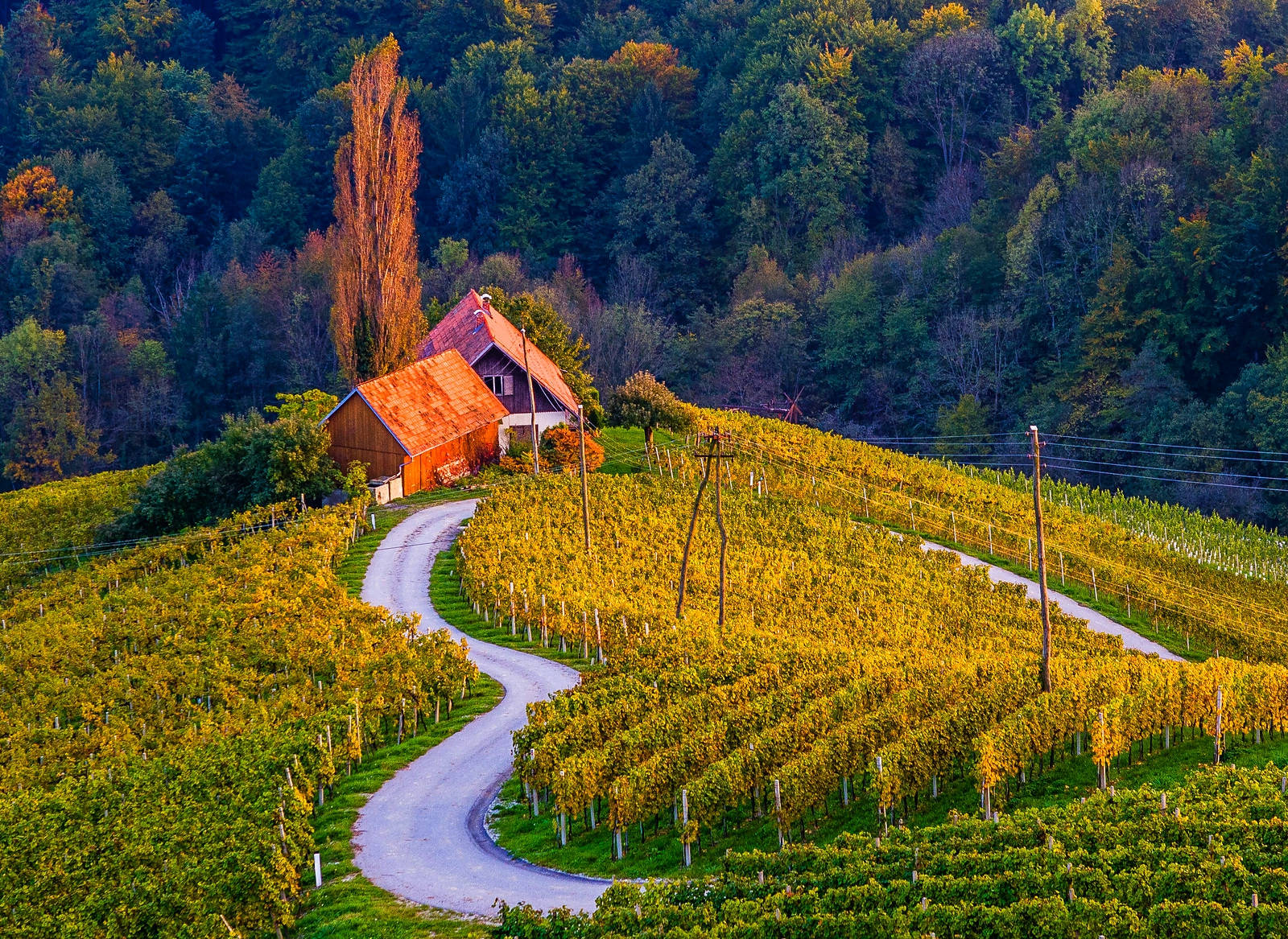 Caption: Idyllic Landscape Of Lake Bled, Slovenia Background