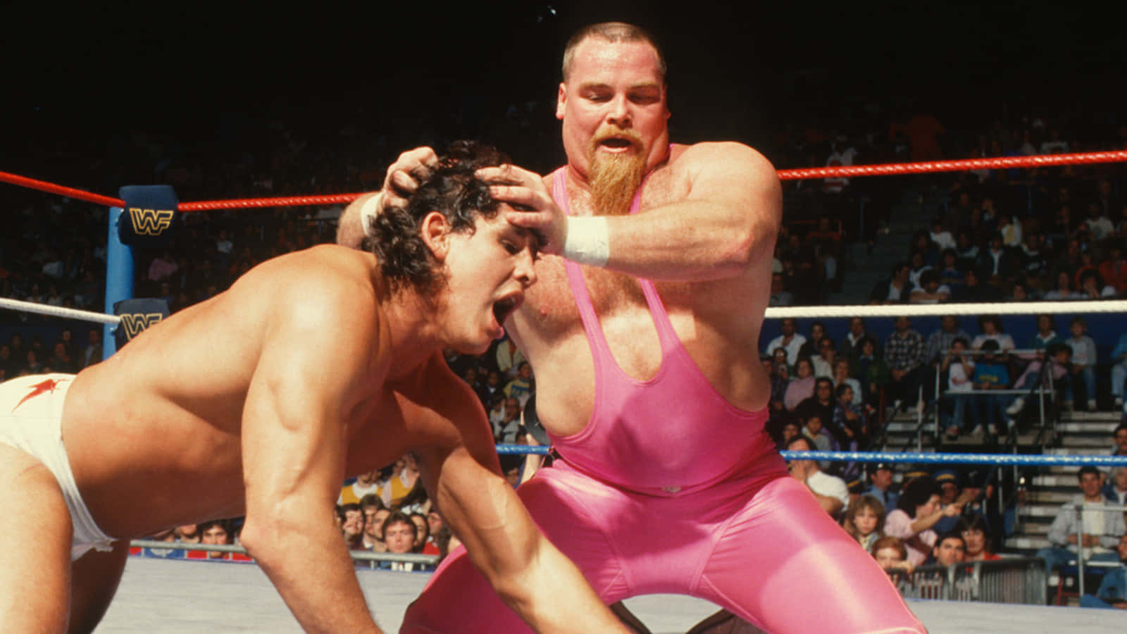 Caption: Intense Showdown Scene: Sid Vicious And Jim Neidhart Wrestling Background