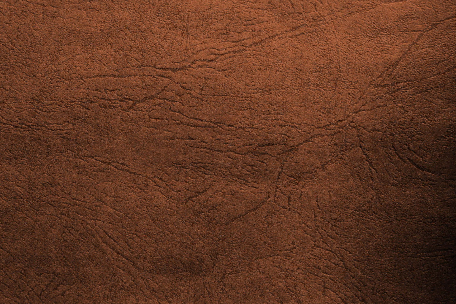 Caption: Luxurious Natural Leather Texture Background