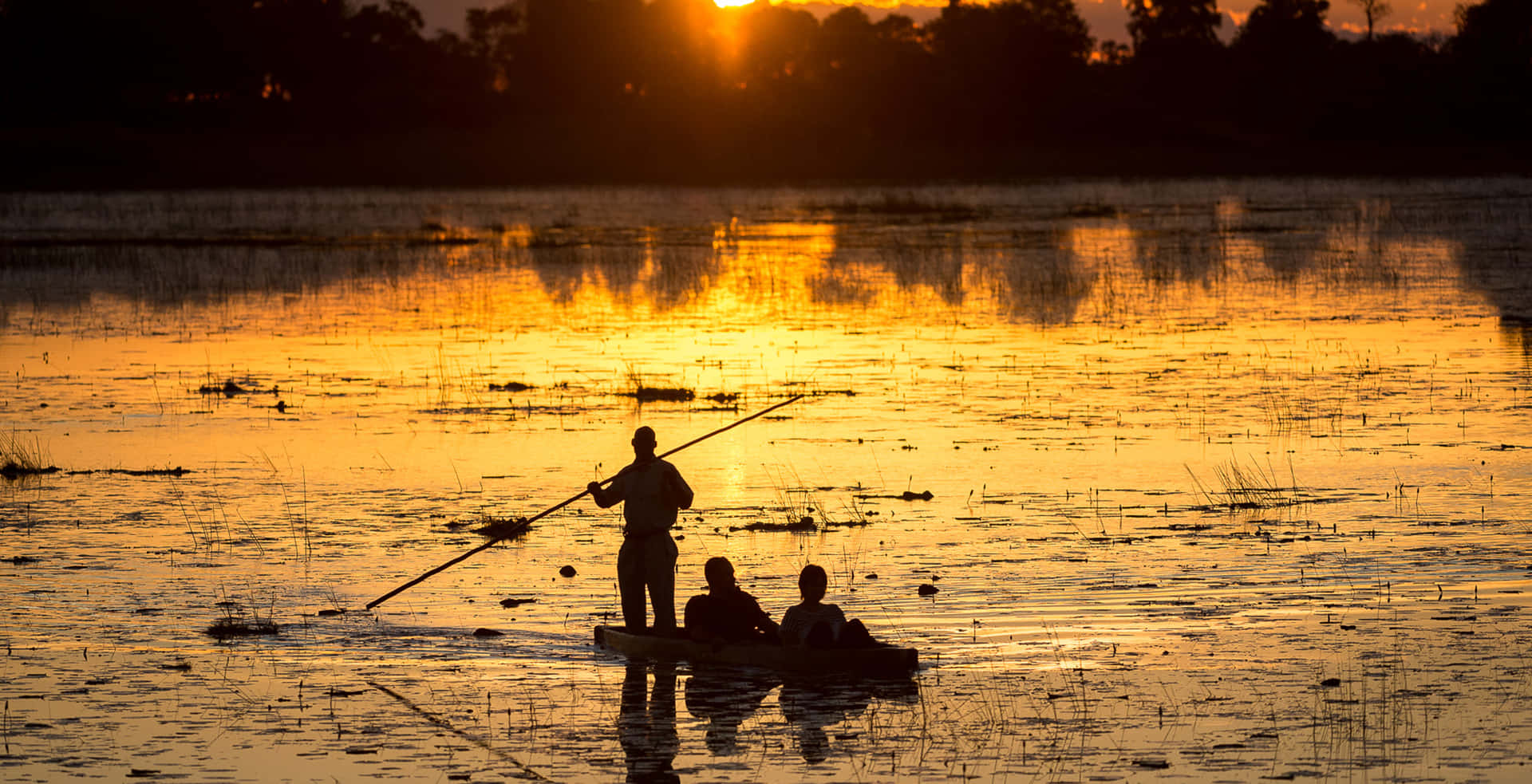 Caption: Magical Safari Adventure In Okavago Delta, Botswana Background