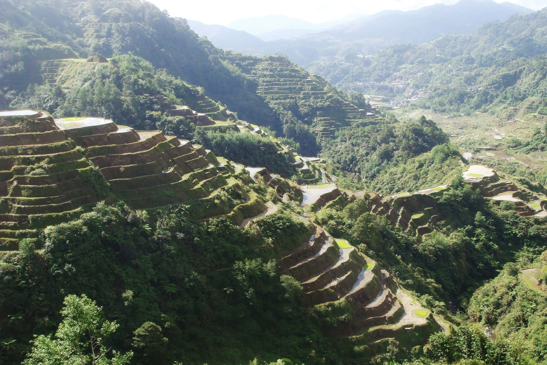 Caption: Majestic Banaue Rice Terraces Amidst Morning Mist