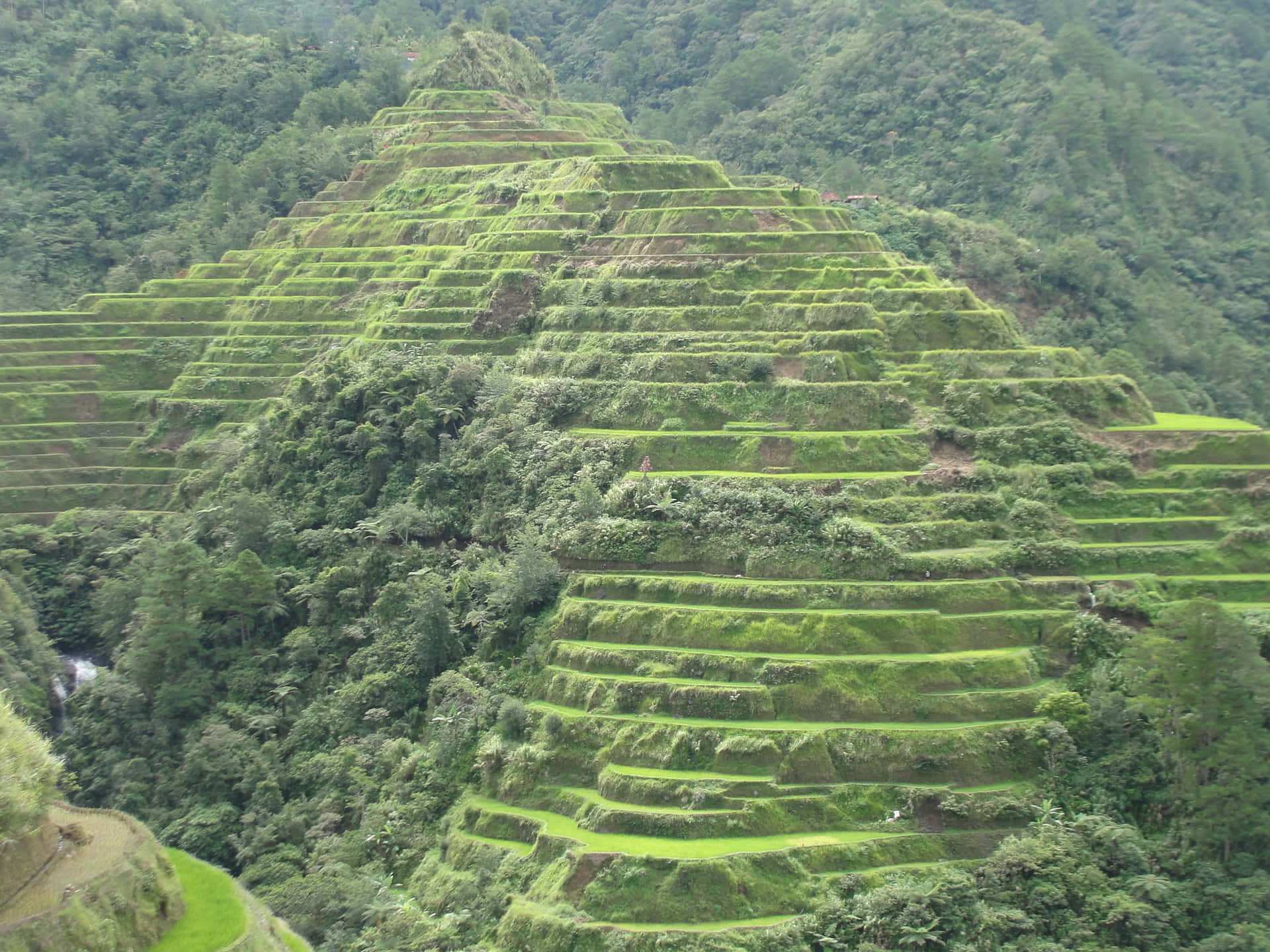 Caption: Majestic Banaue Rice Terraces In The Philippines