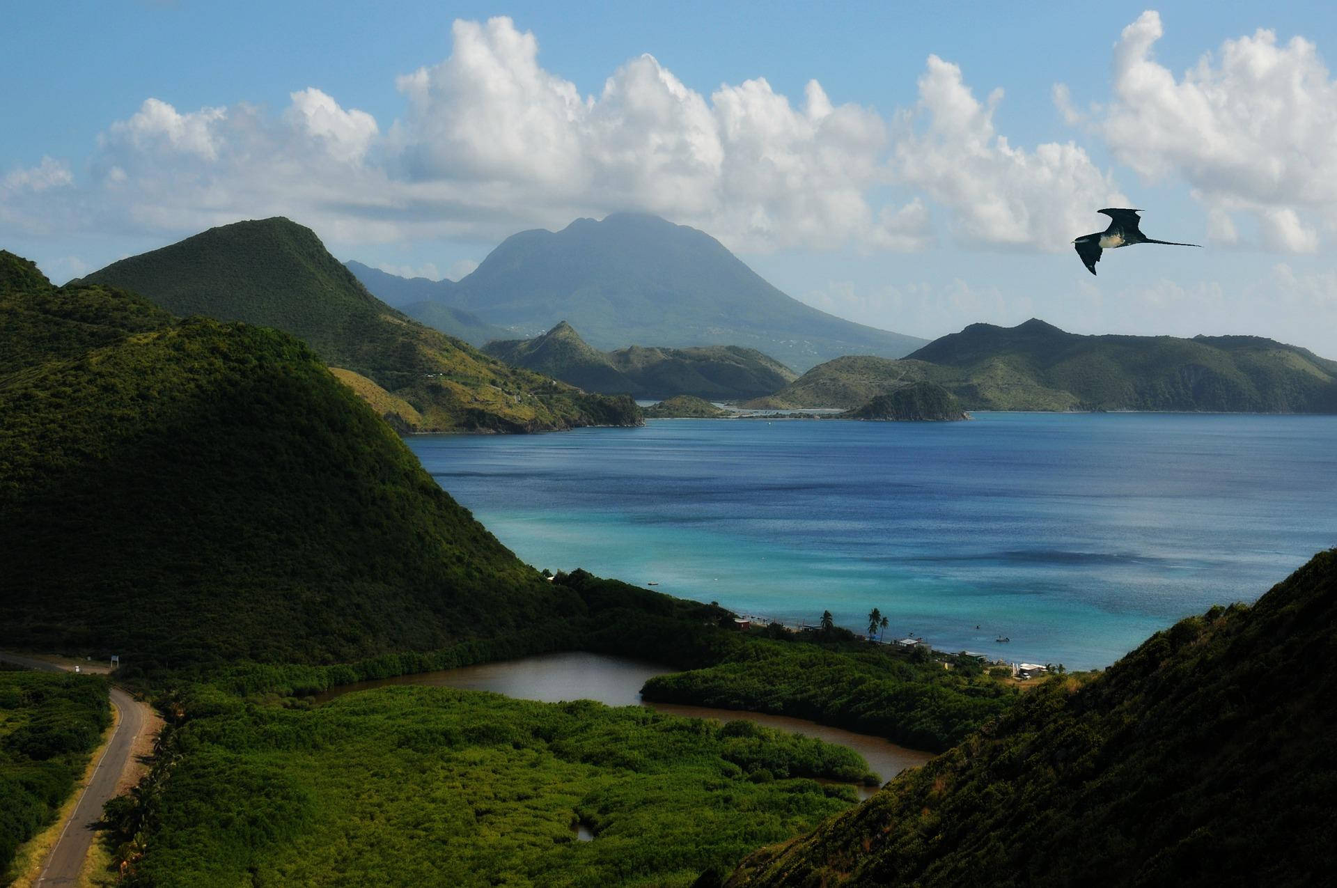 Caption: Majestic Bird Soaring Over St. Kitts And Nevis Background