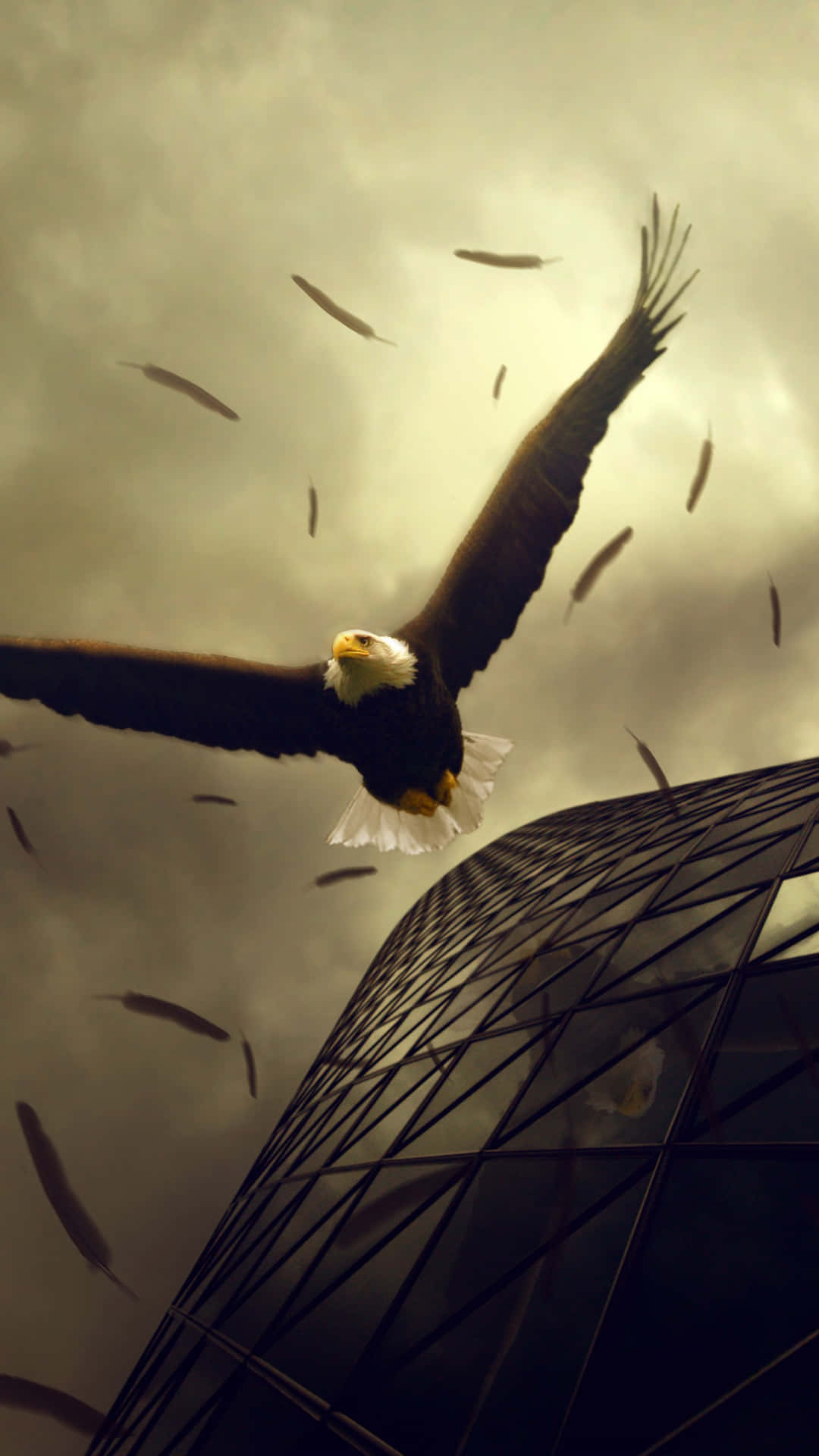 Caption: Majestic Eagle Soaring High In The Sky Background