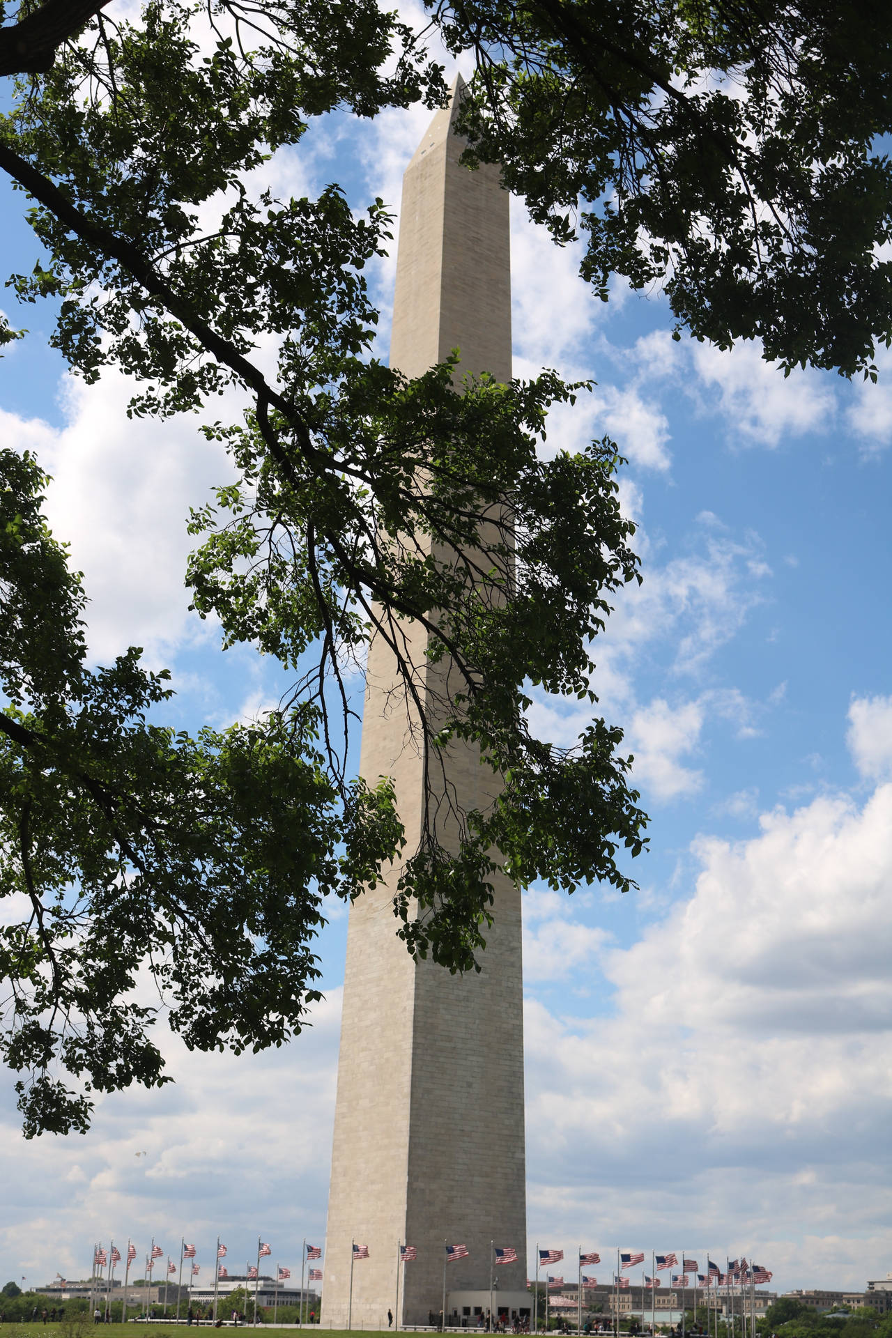 Caption: Majestic Monument Amidst Greenery At National Mall Background