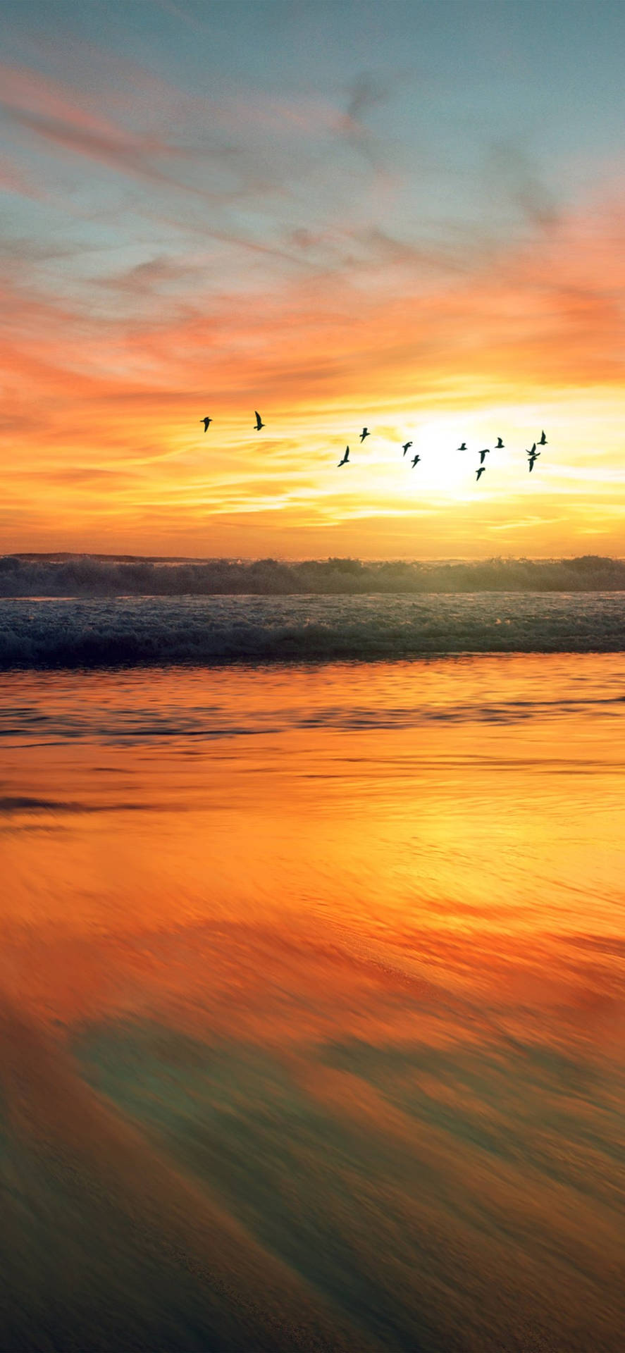 Caption: Majestic Ocean Sunset - Birds Soaring Against A Radiant Twilight.