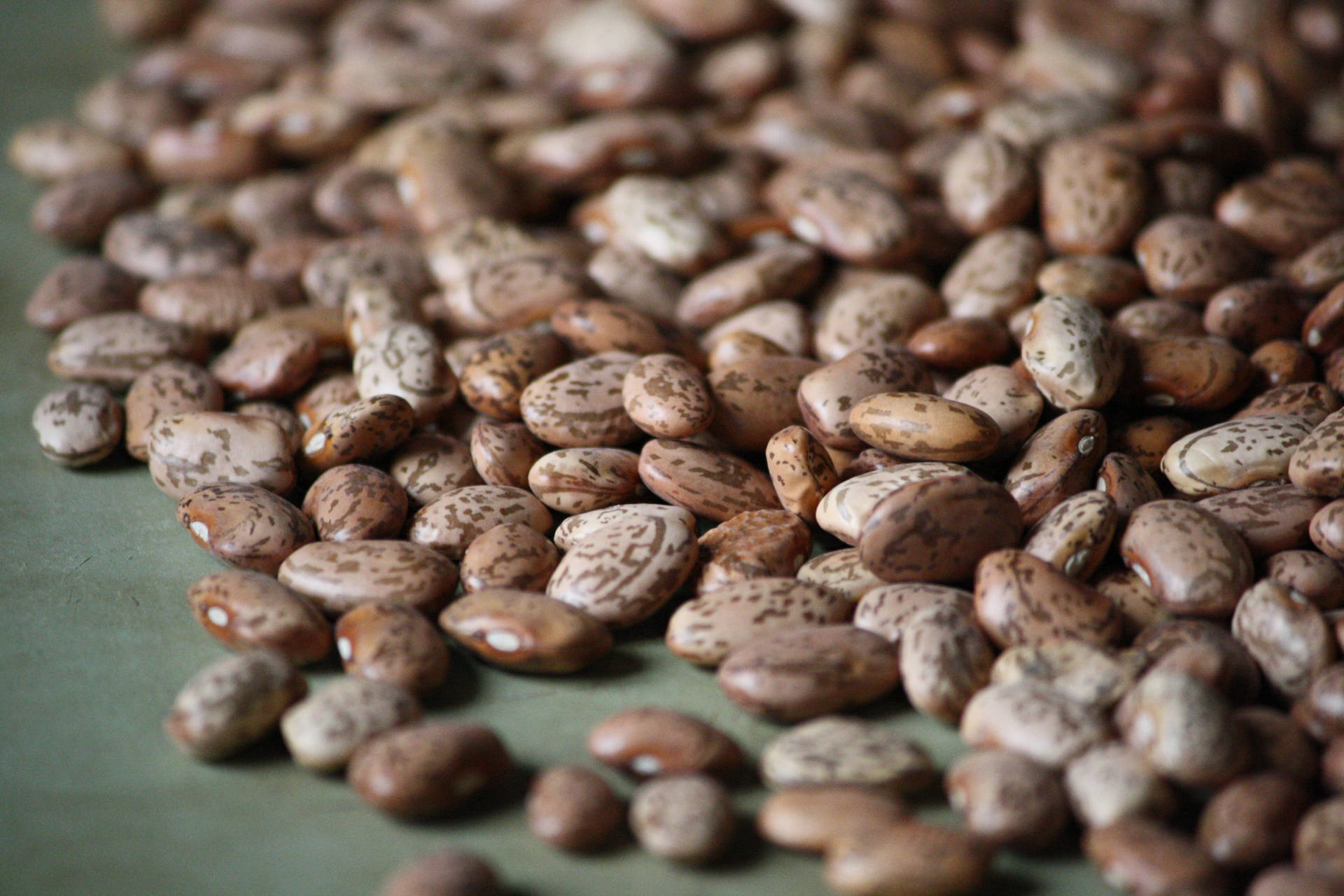 Caption: Majestic Pinto Beans In The Shadows