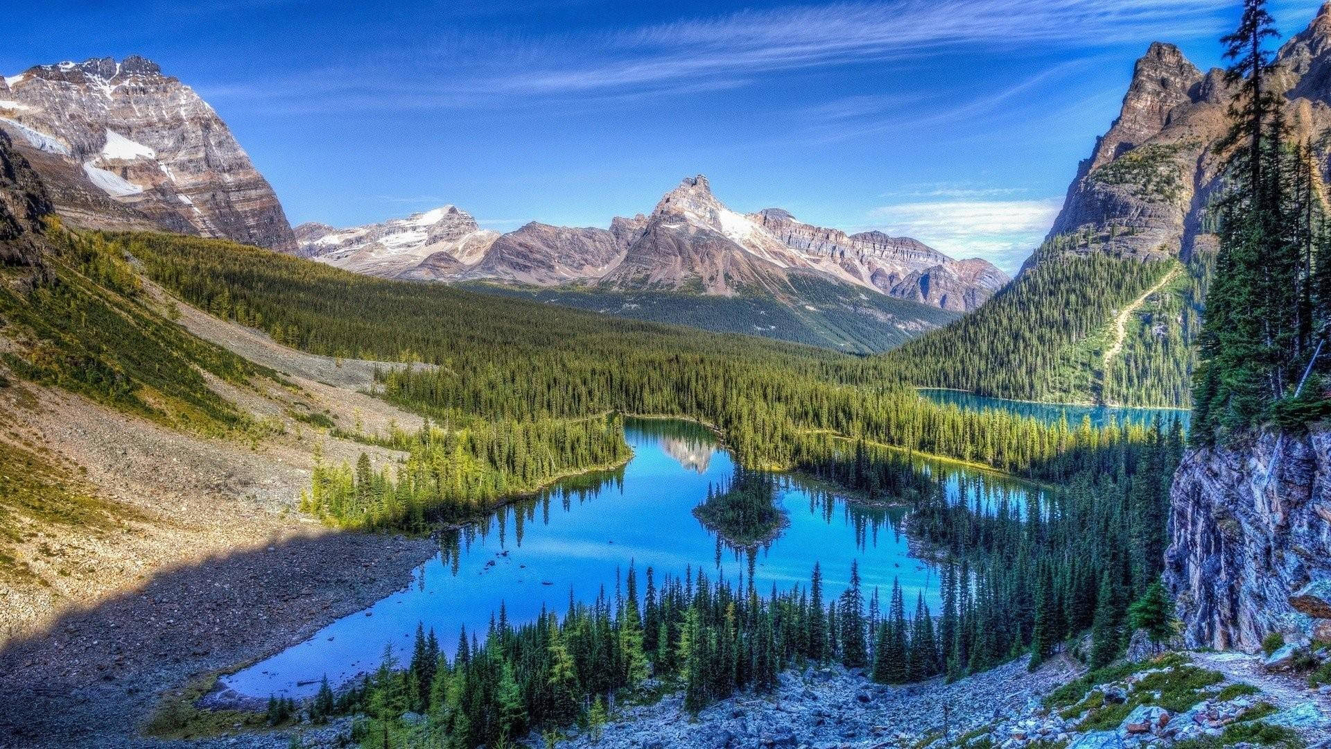 Caption: Majestic Rocky Mountain Amidst Lush Greenery