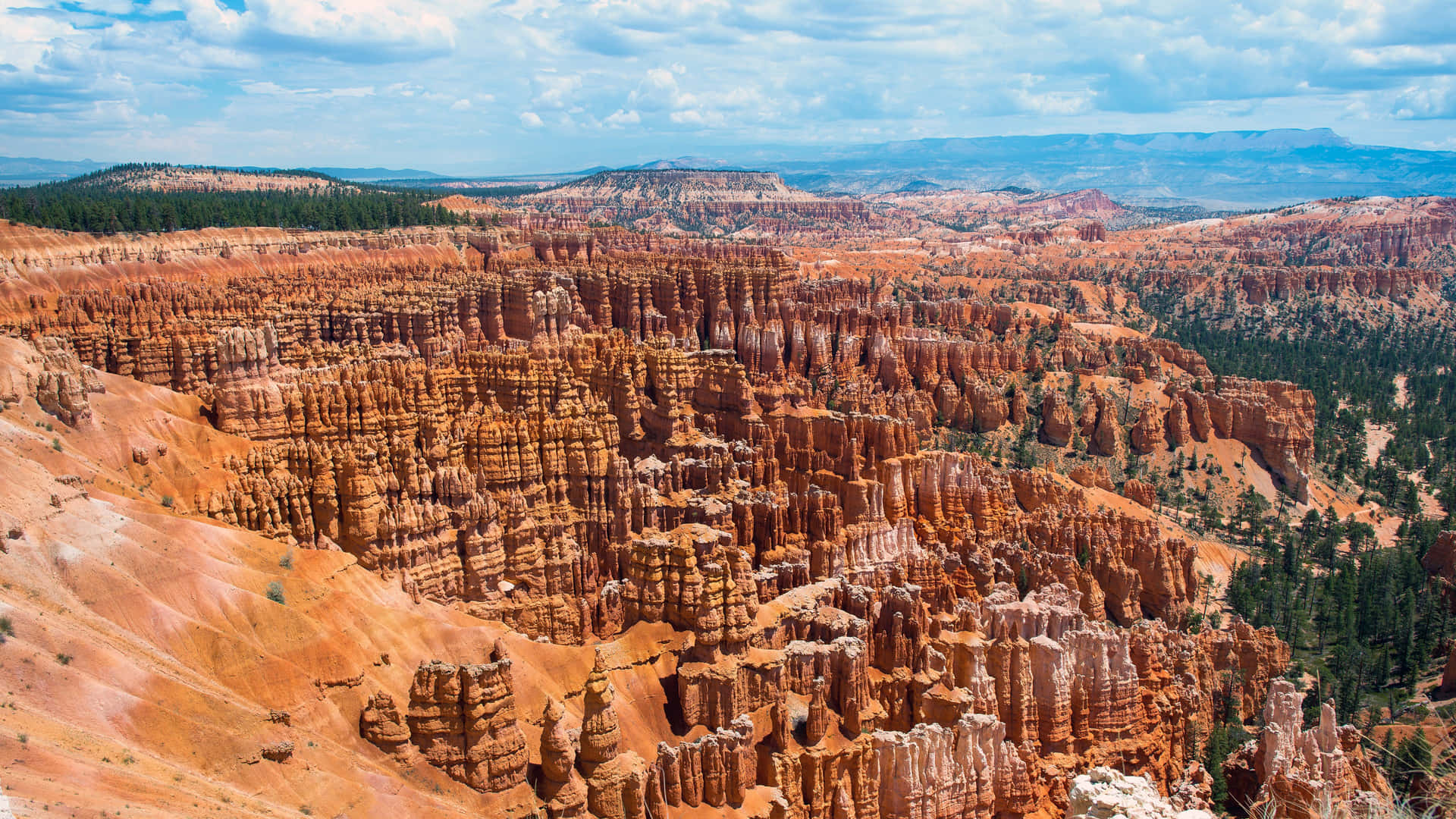 Caption: Majestic View Of Bryce Canyon National Park's Main Amphitheater Background