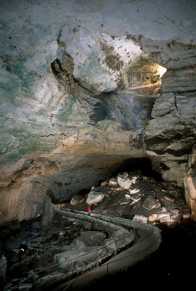 Caption: Majestic View Of Carlsbad Caverns National Park's Interior Background