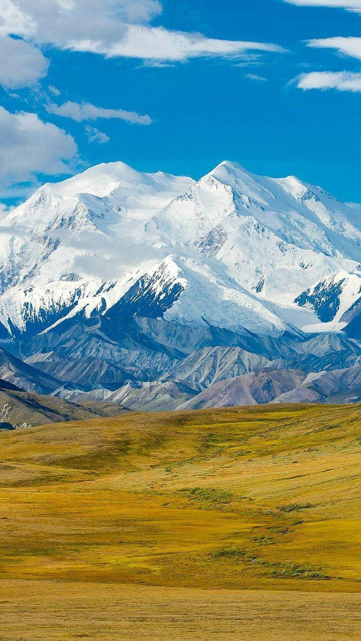 Caption: Majestic View Of Denali Amidst The Wilderness Background