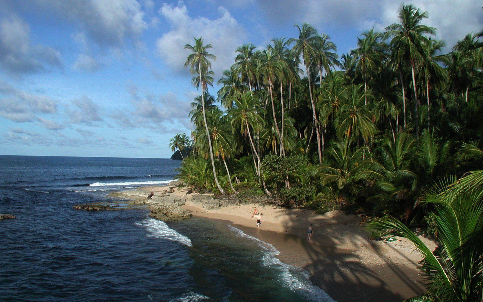 Caption: Majestic View Of Manzanillo Beach, Costa Rica Background