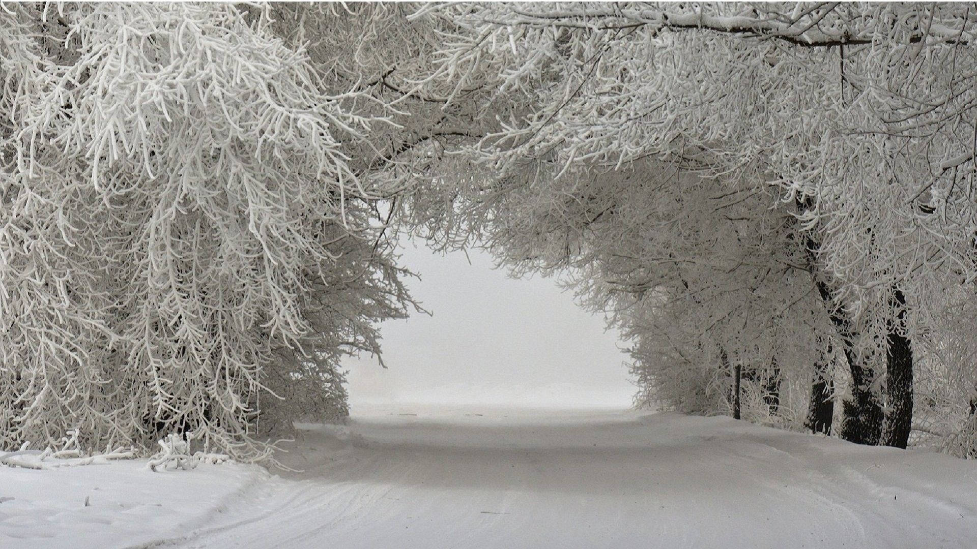 Caption: Majestic Winter Landscape