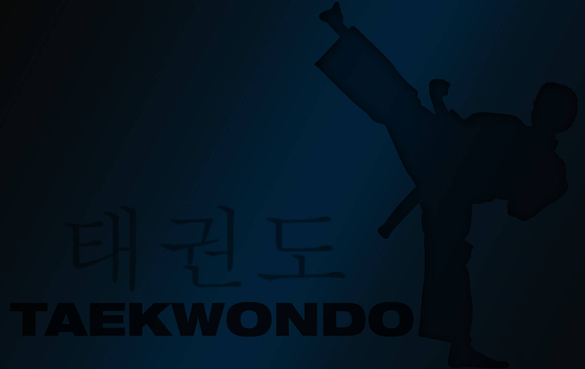 Caption: Mastering The Art Of Taekwondo Background