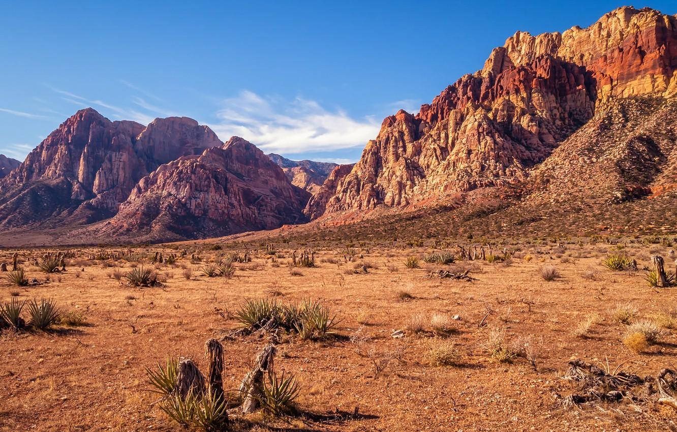 Caption: Mesmerizing Landscape Of Red Rock Canyon Conservation Area Background