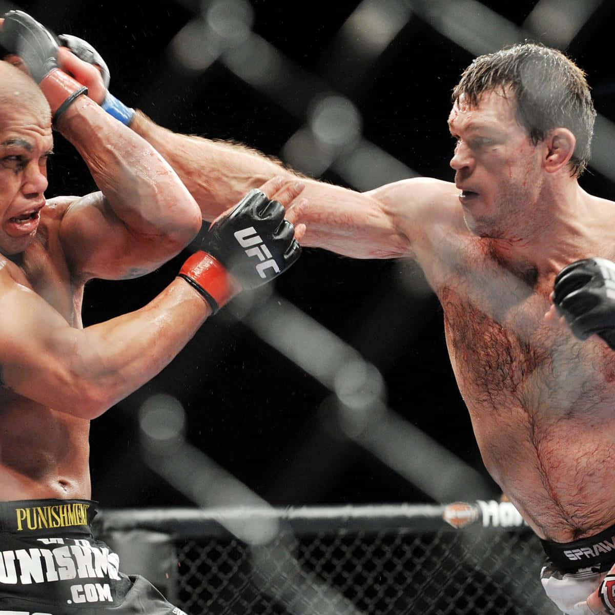 Caption: Mixed Martial Arts Competition: Forrest Griffin Vs Tito Ortiz Background