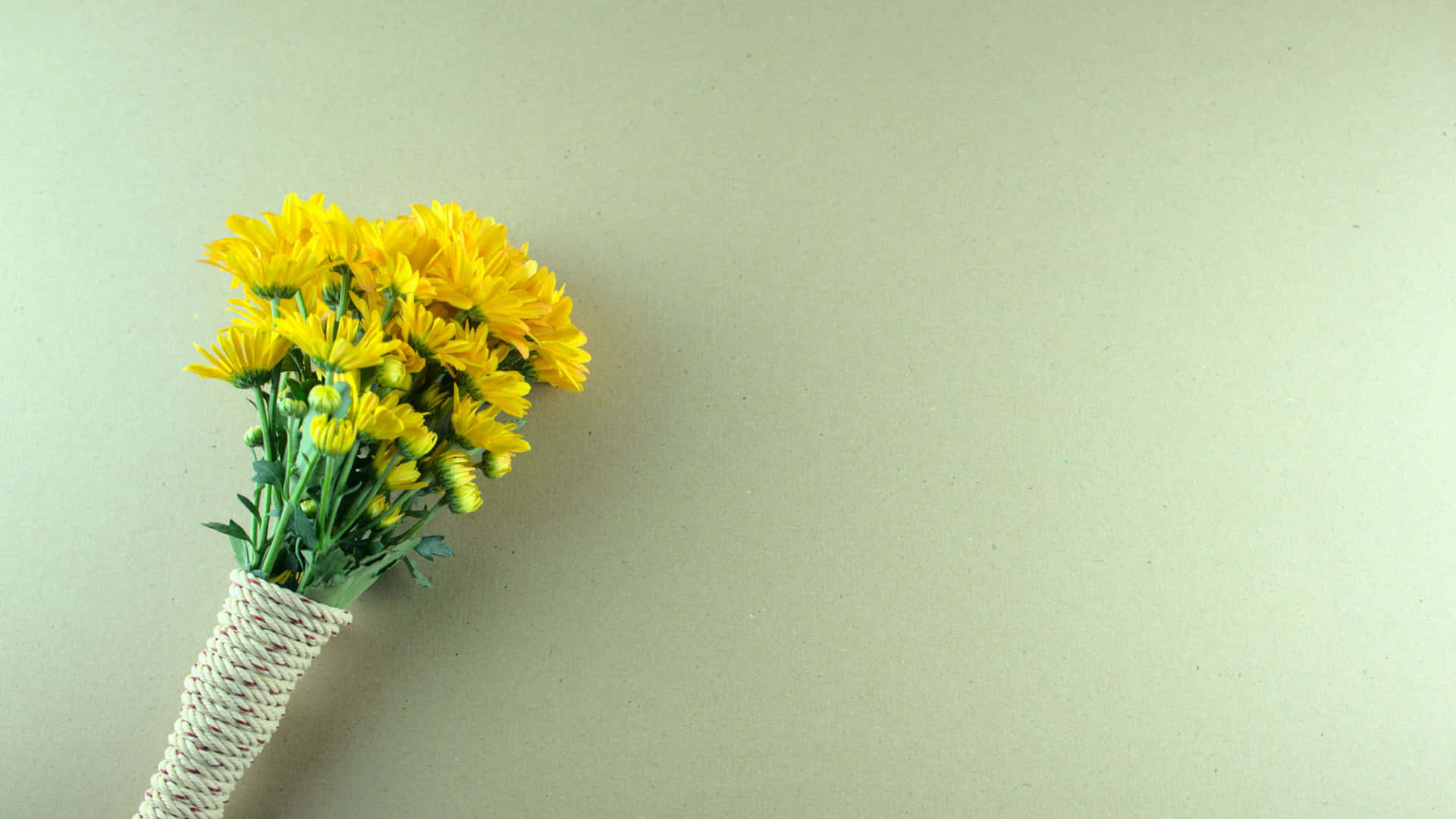 Caption: Modern Sage Green Laptop Background