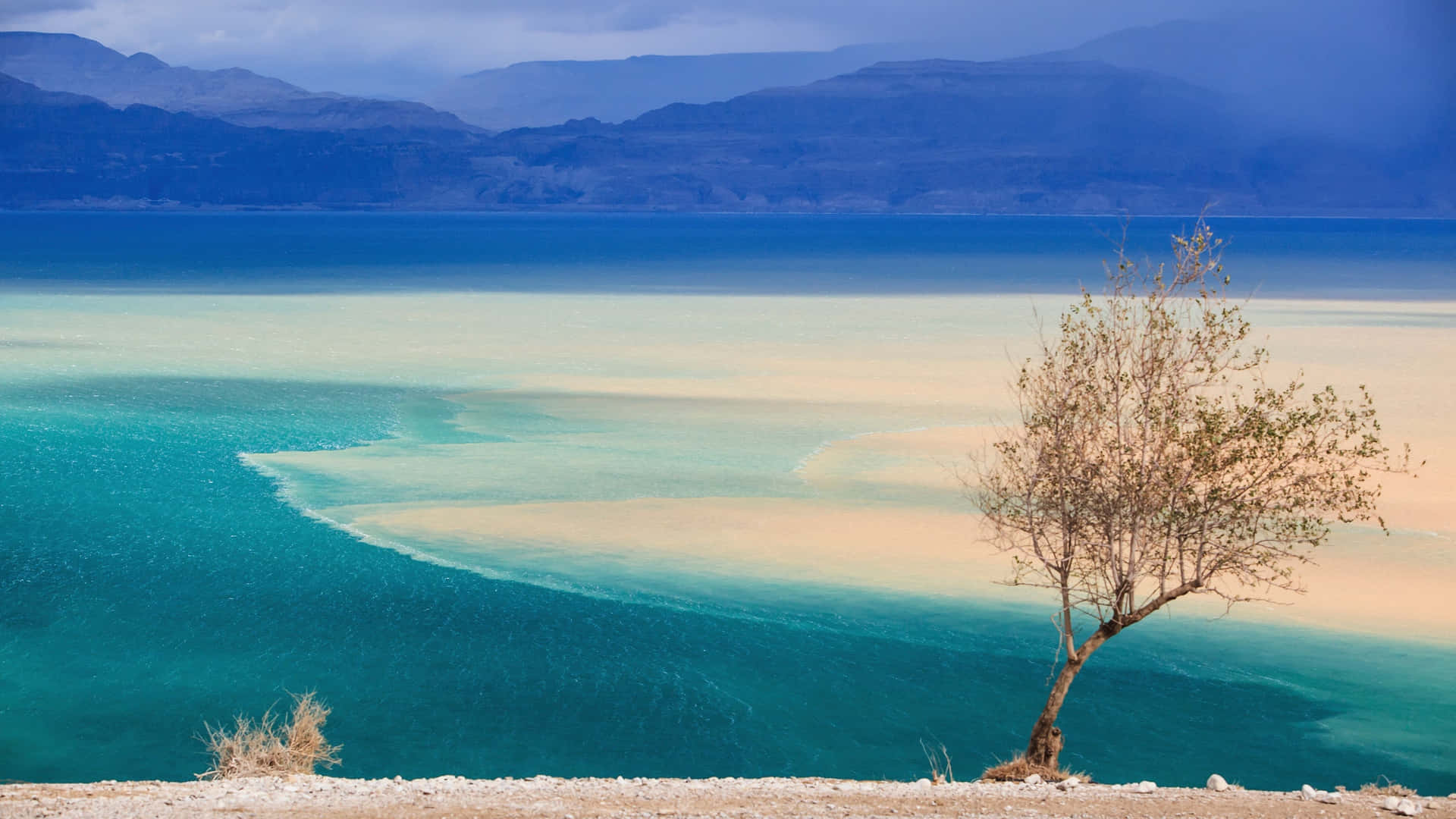 Caption: Mysteries Of The Dead Sea Unveiled. Background